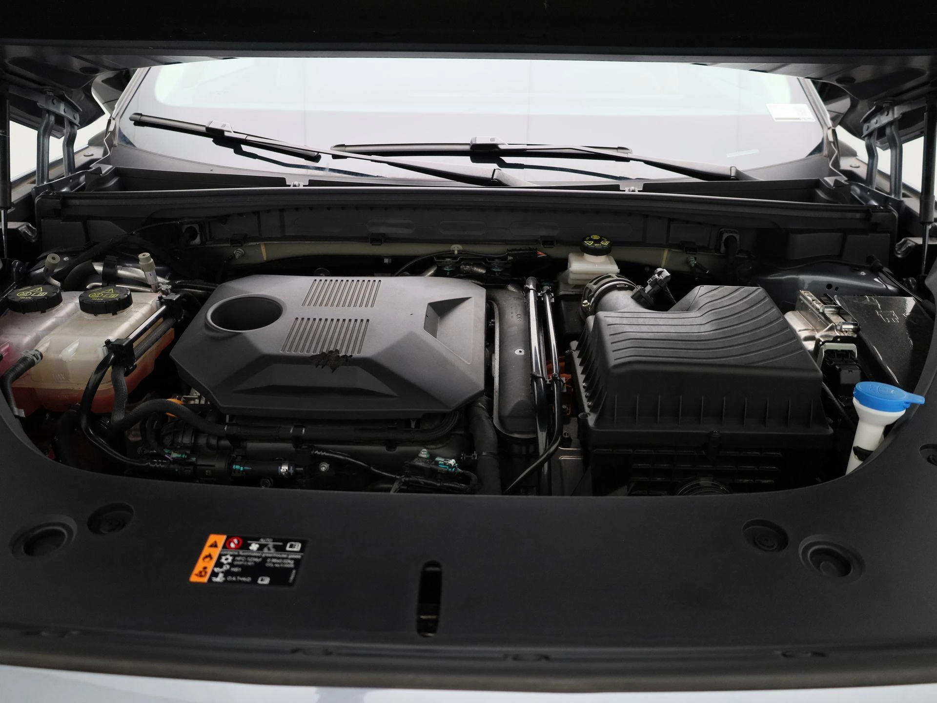 MG-HS-image-34