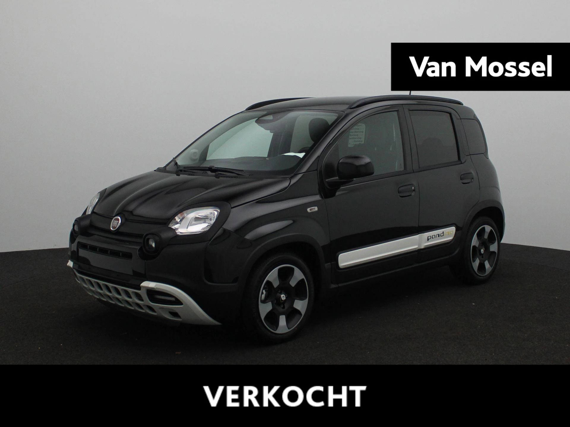Fiat-Panda-image-0