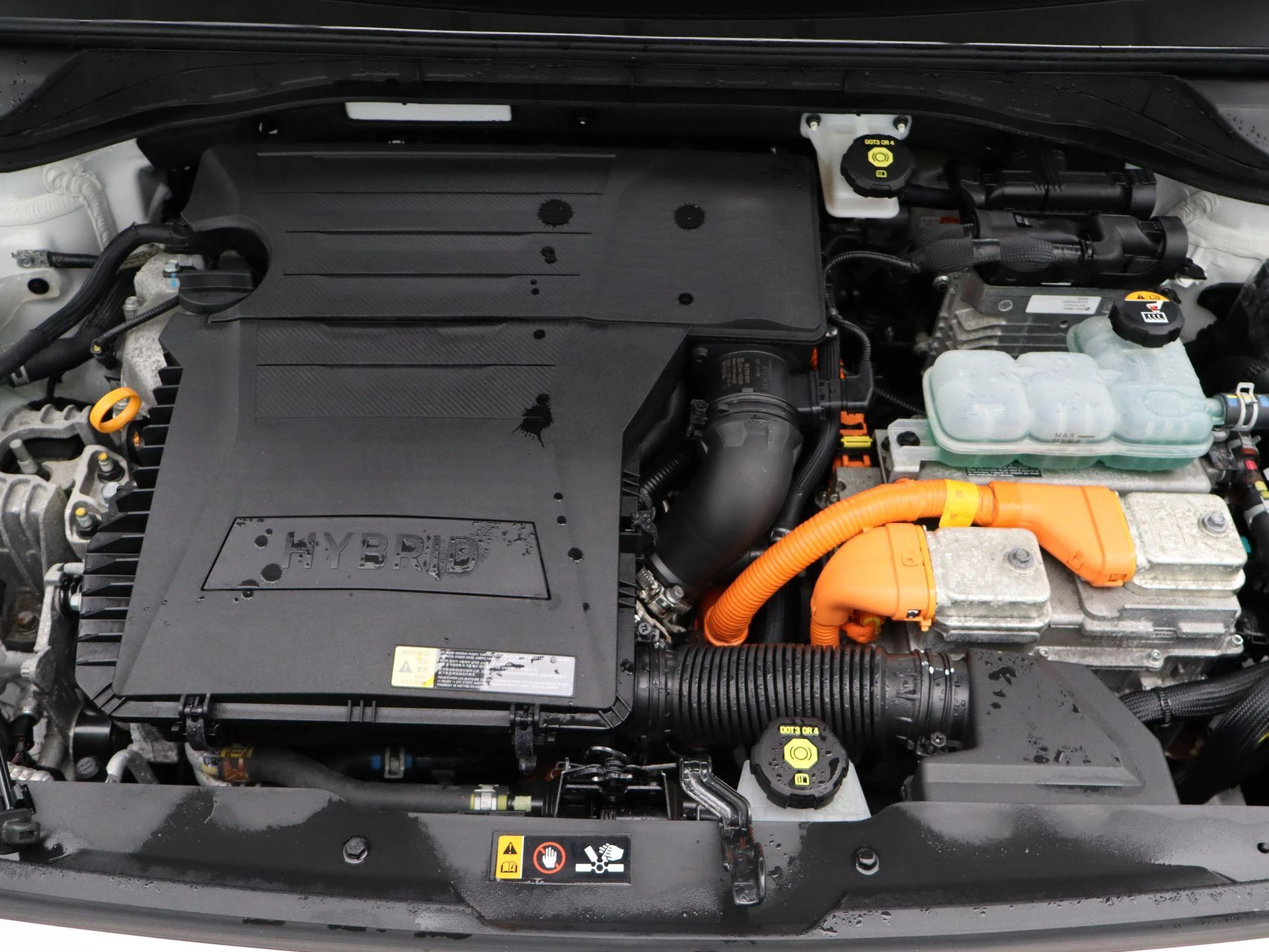 Kia-Niro-image-29