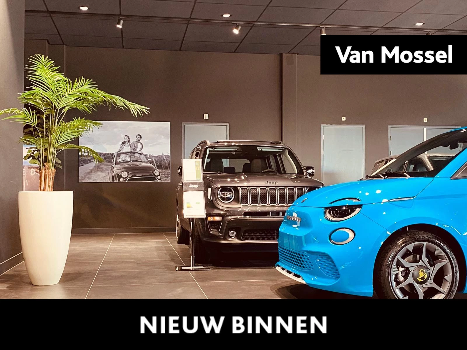 Jeep-Avenger-image-10