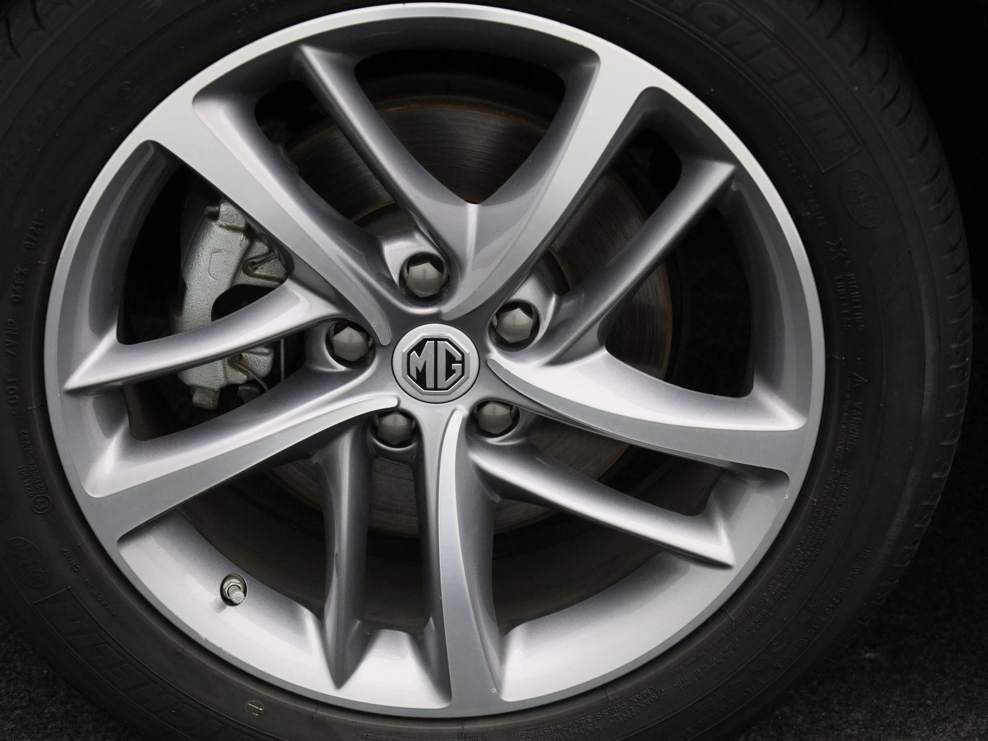 MG-EHS-image-13