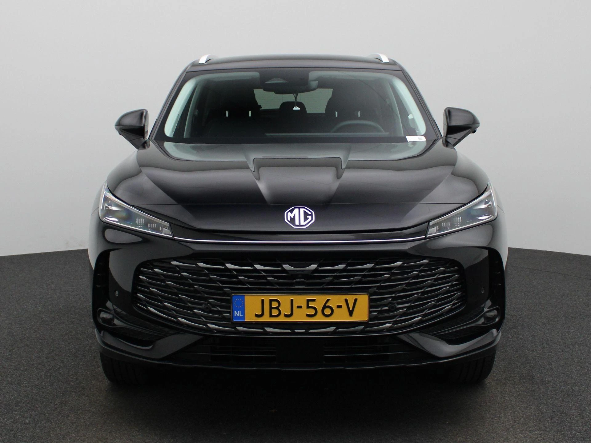 MG-HS-image-2