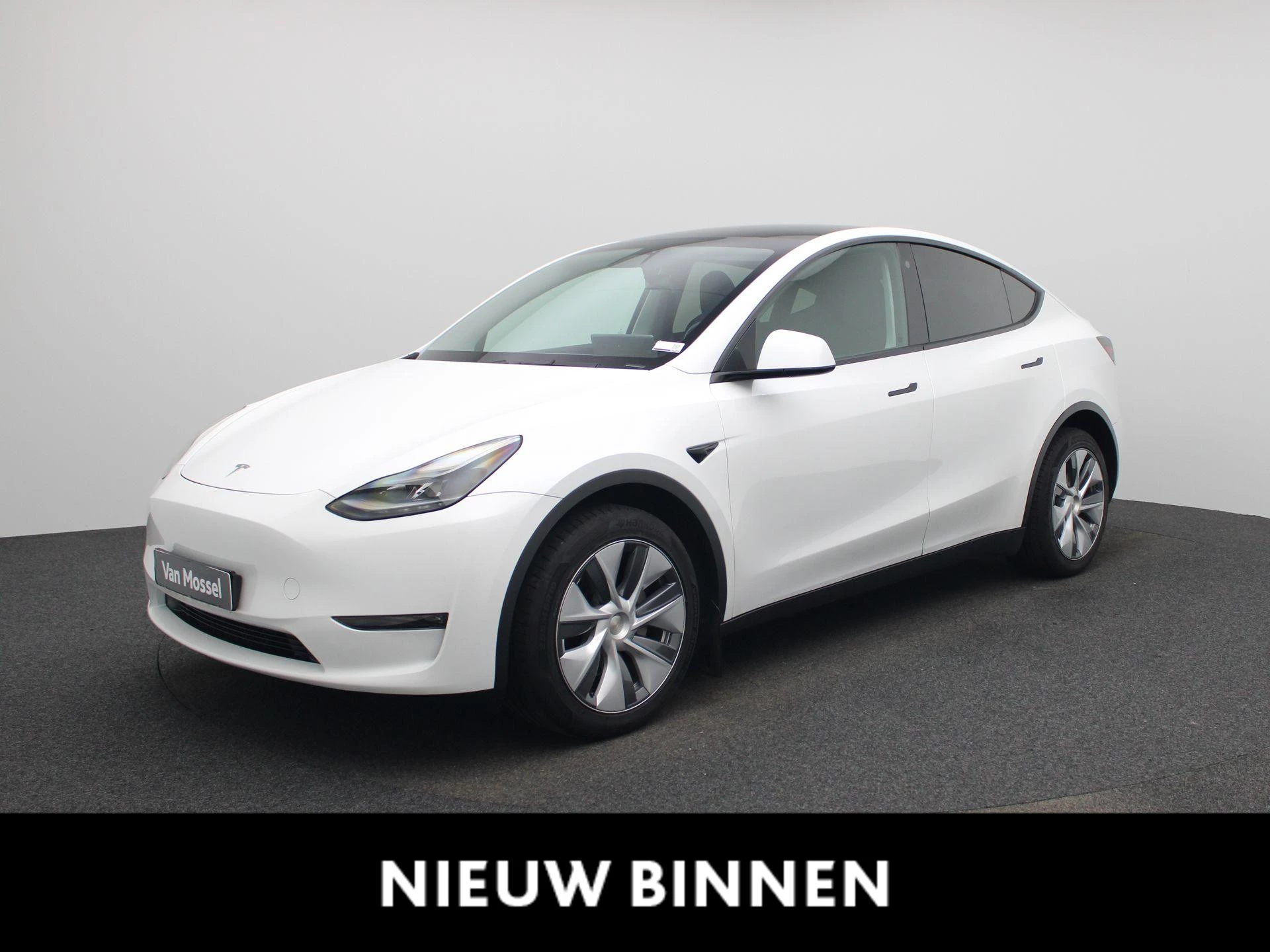 Tesla-Model Y-image-0