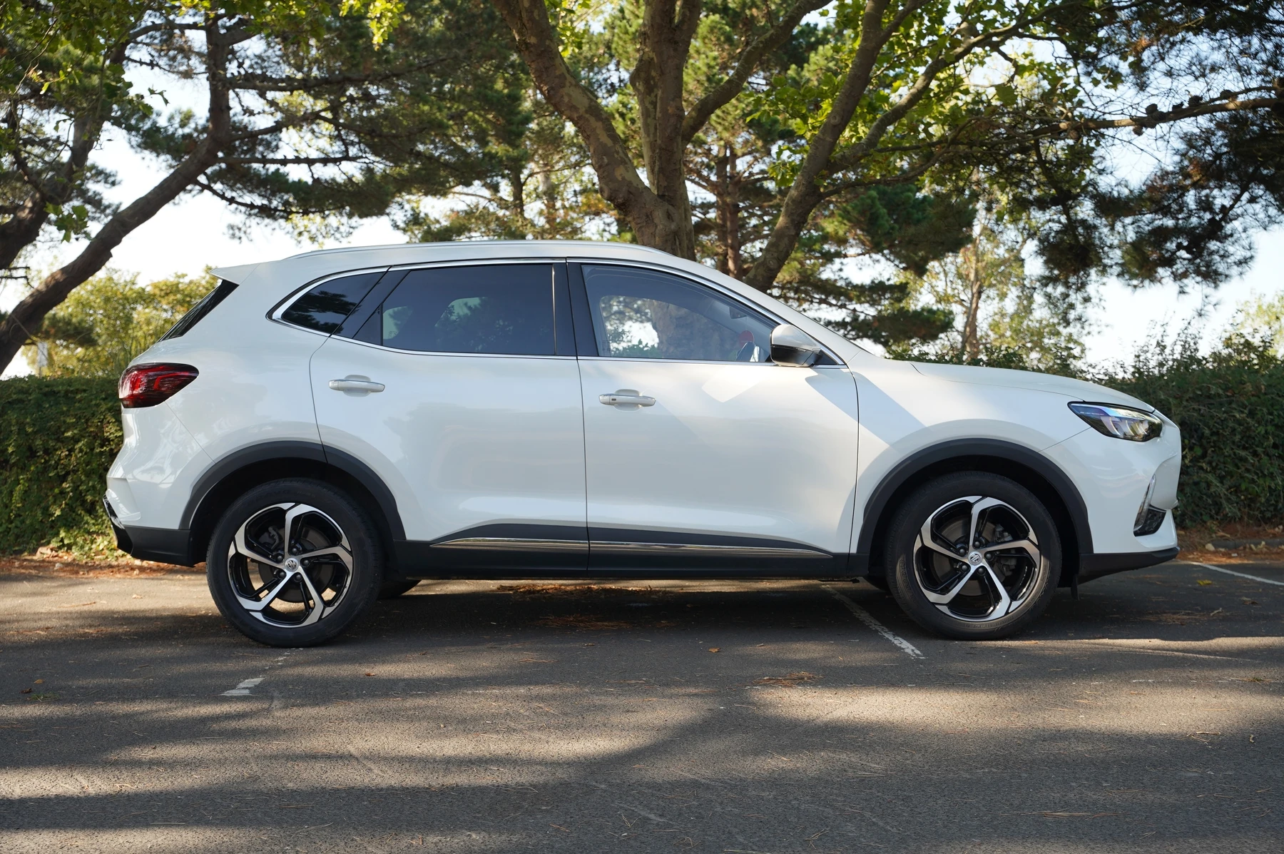 MG-HS-image-3