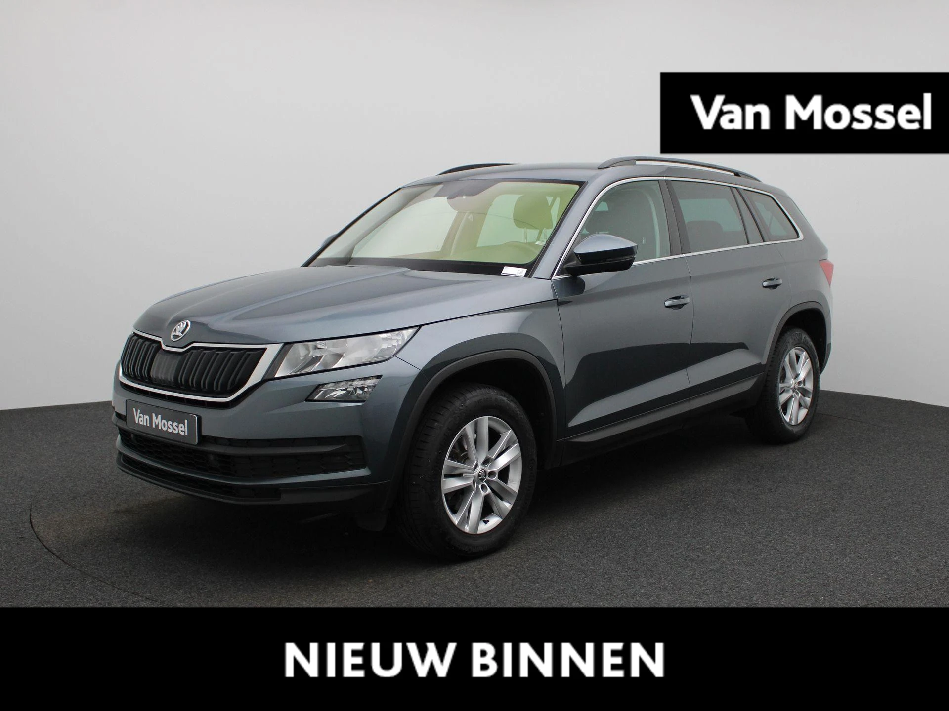 Škoda-Kodiaq-image-0