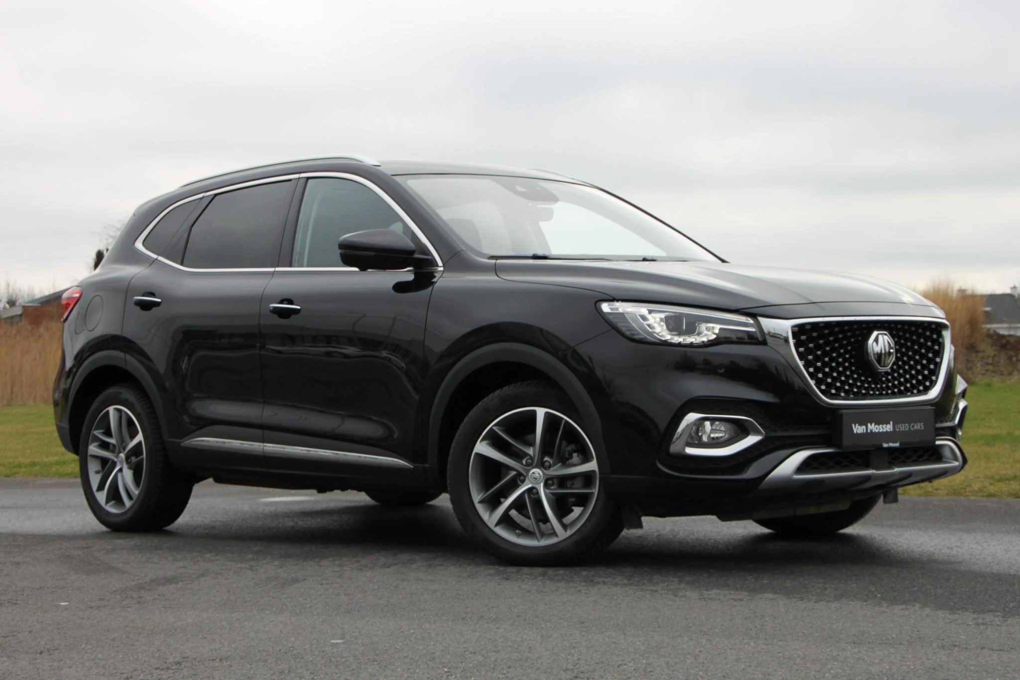 MG-EHS-image-2
