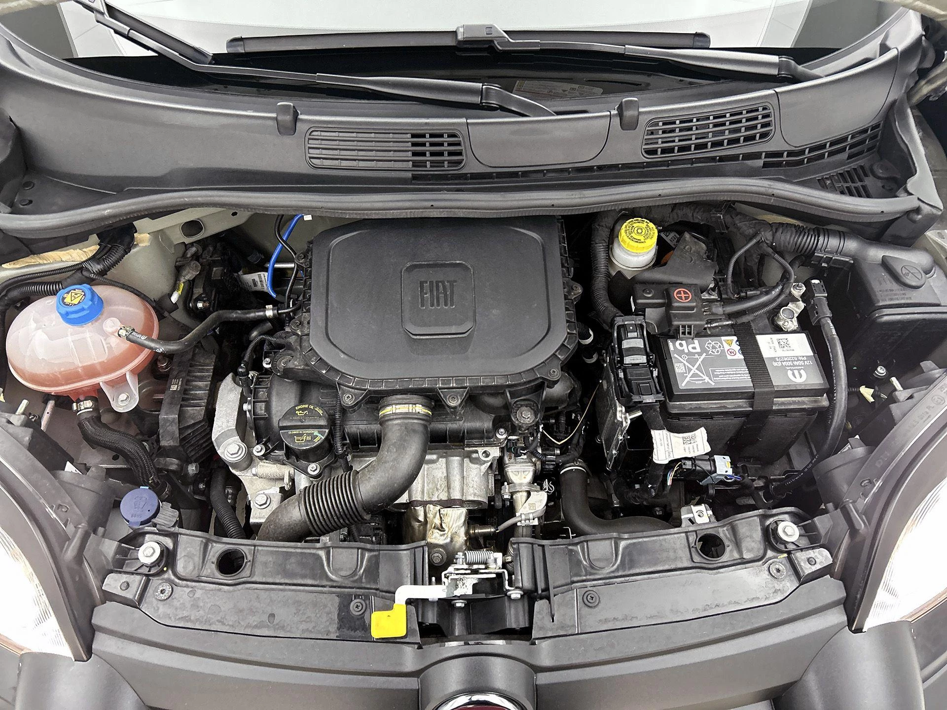 Fiat Panda 1.0 Hybrid Pandina