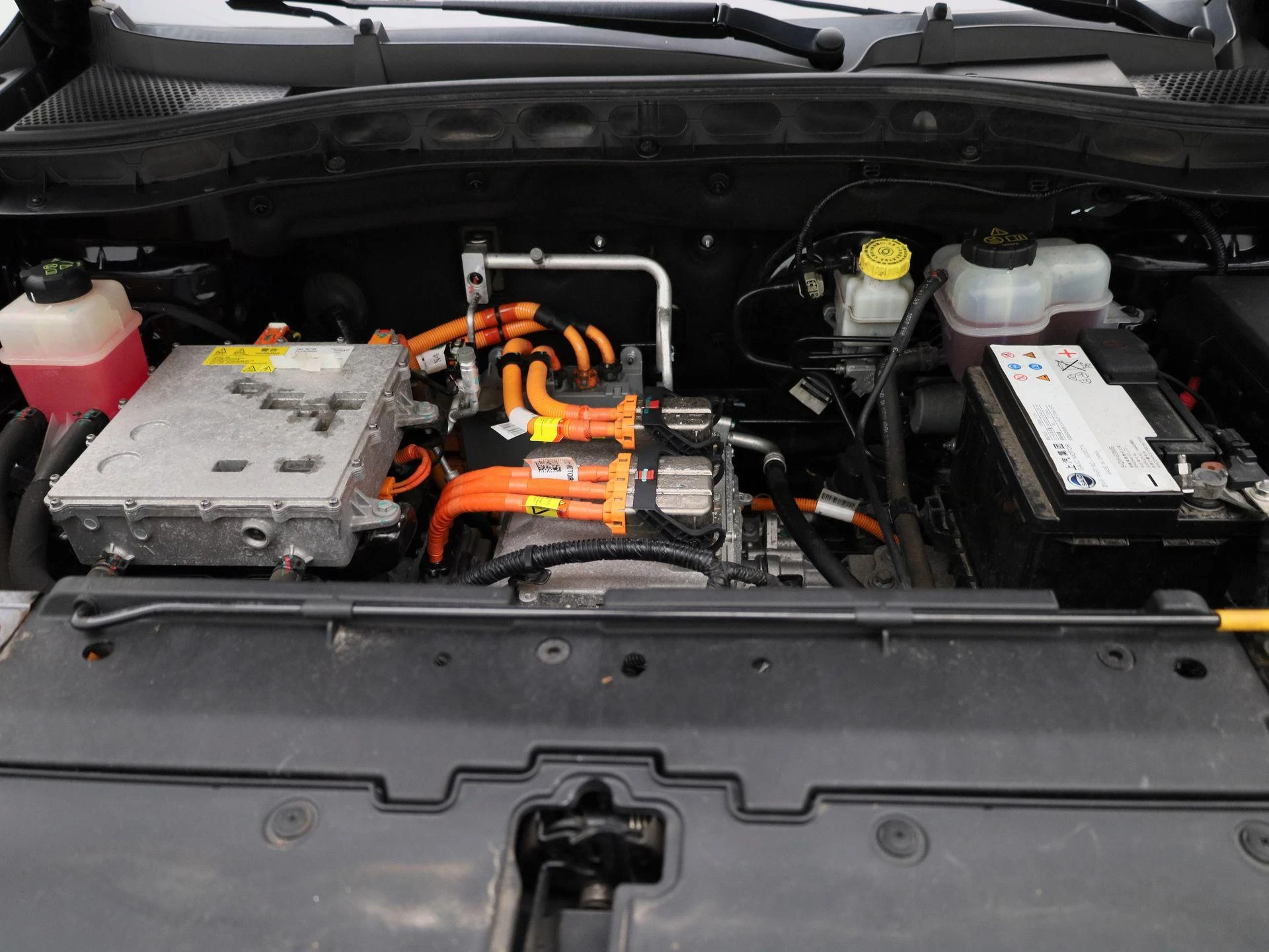 MG-ZS EV-image-31