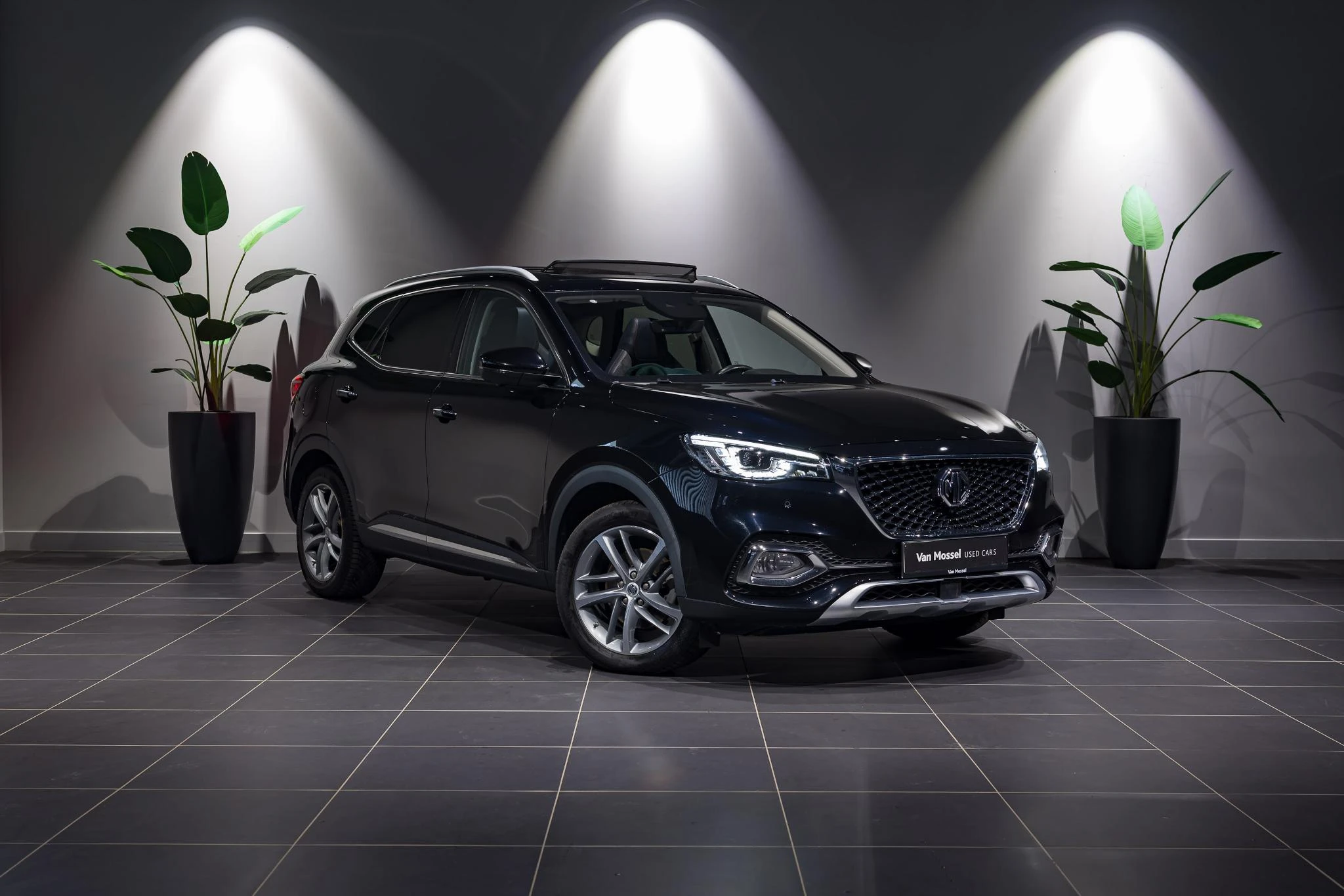 MG-EHS-image-2
