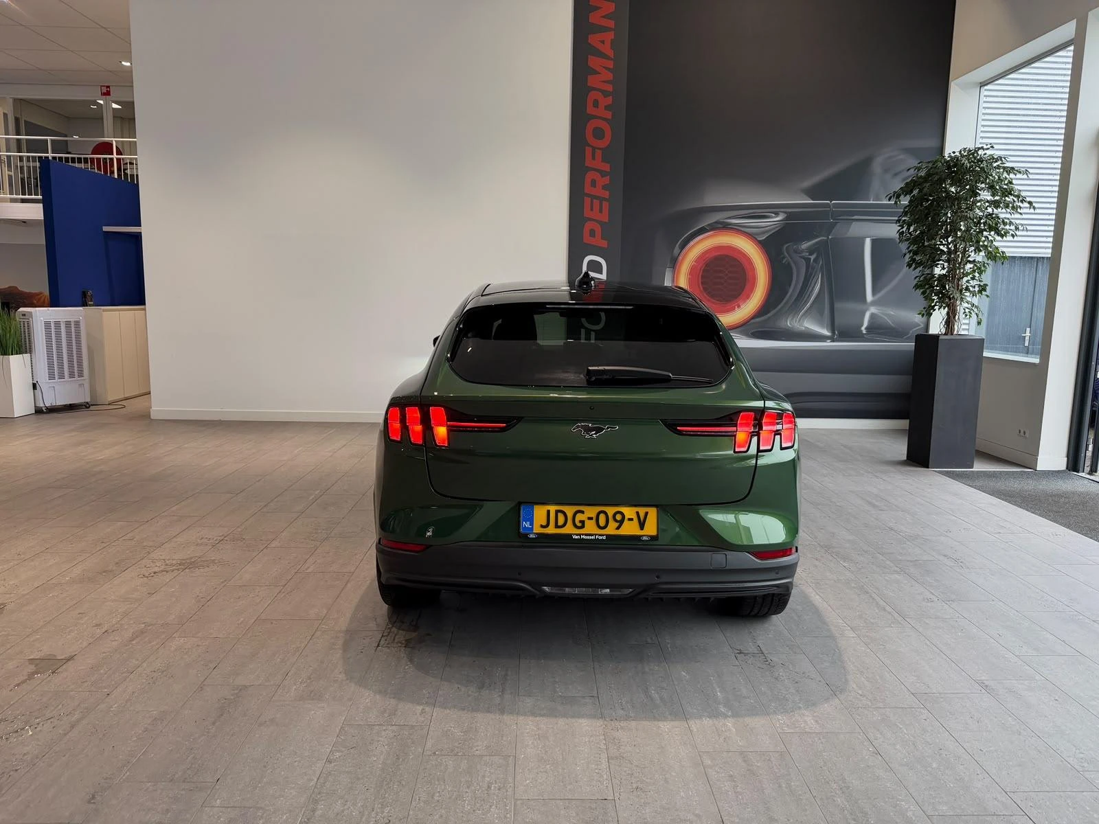 Ford-Mustang Mach-E-image-4