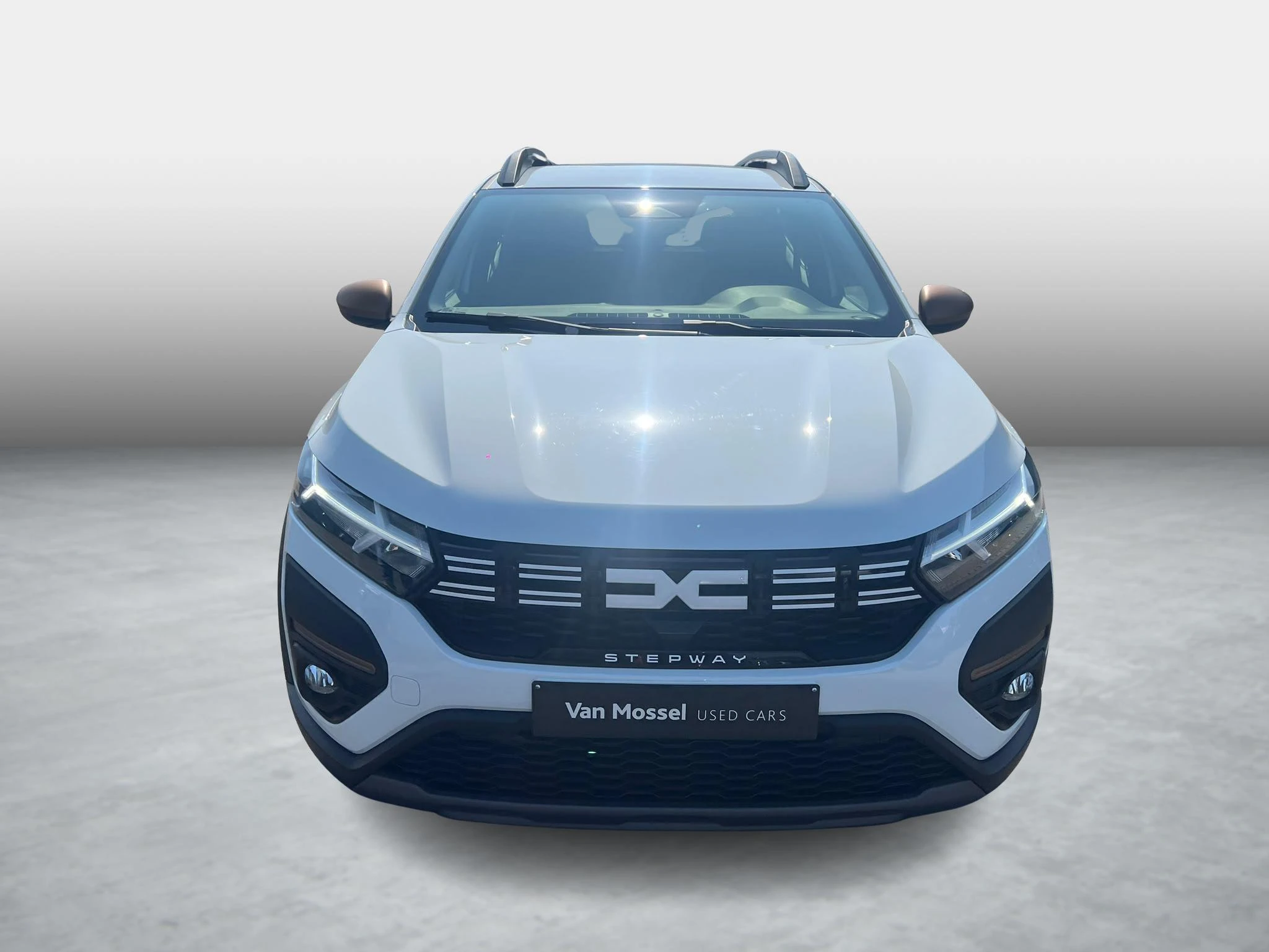 Dacia-Sandero Stepway-image-1