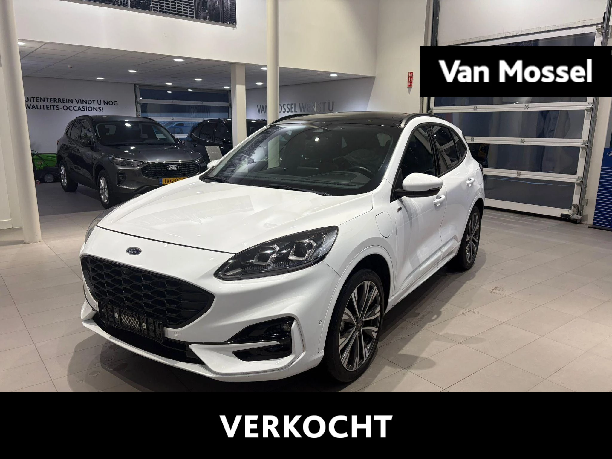 Ford-Kuga-image-0