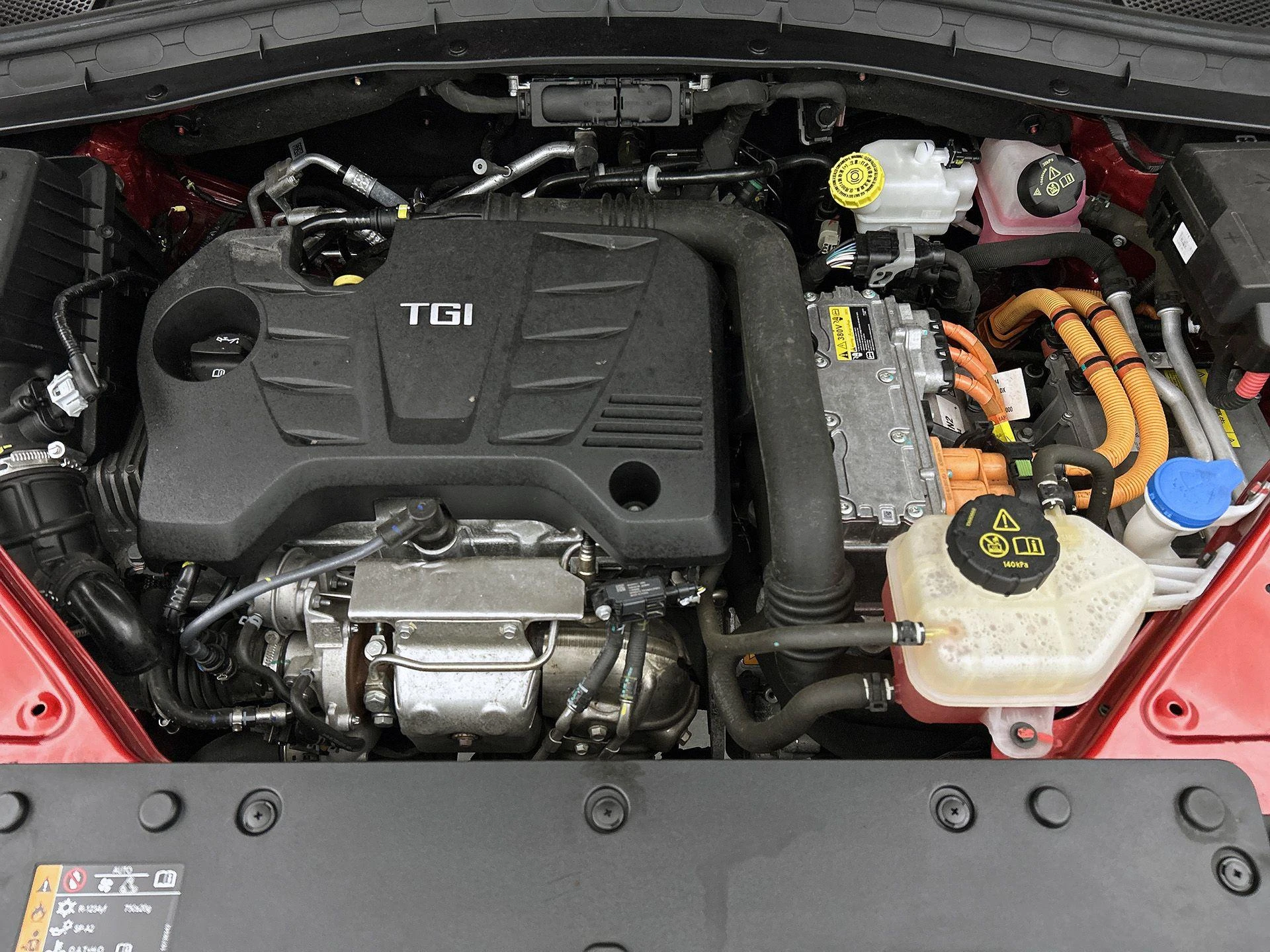 MG-EHS-image-43