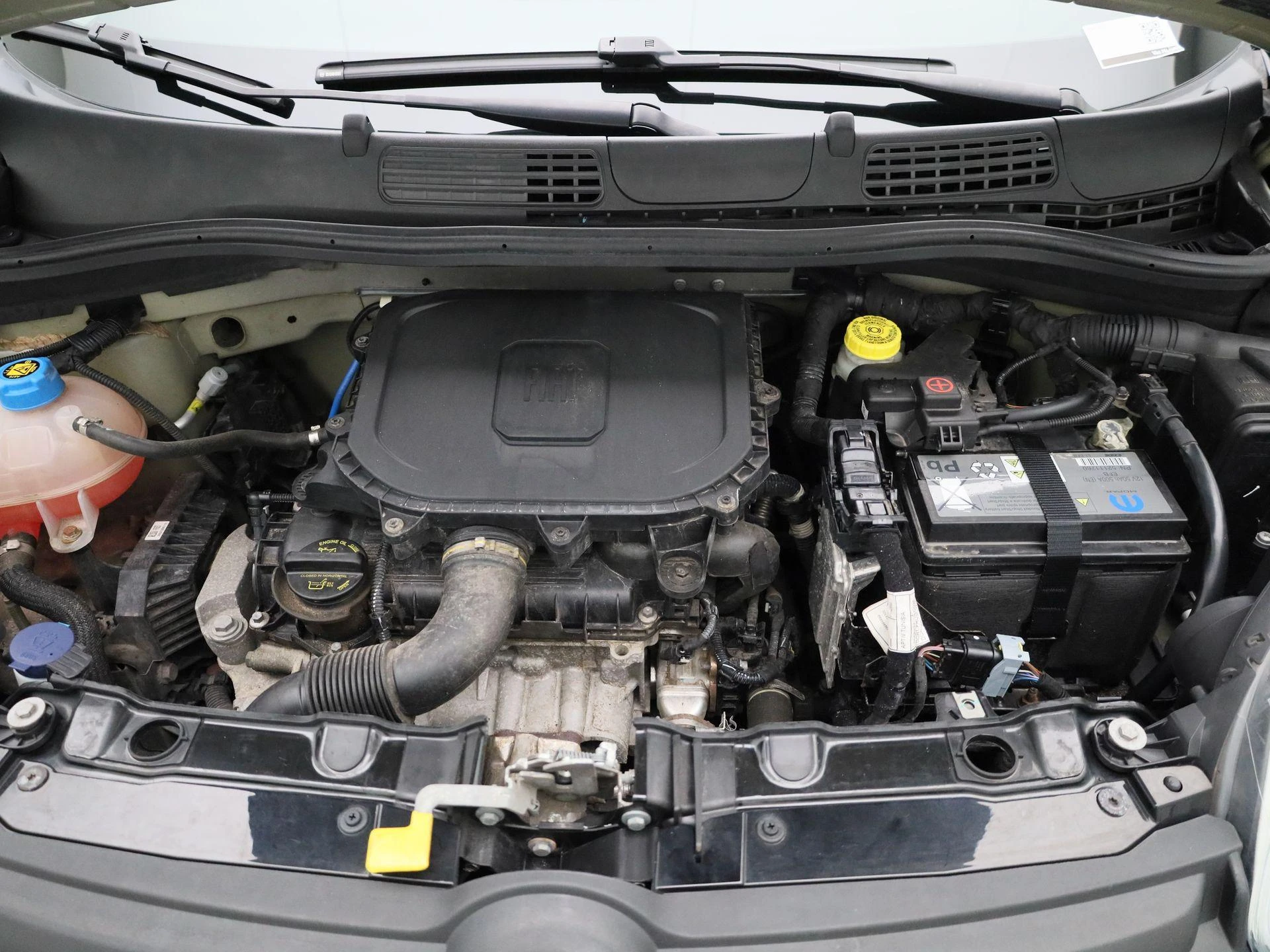 Fiat-Panda-image-24