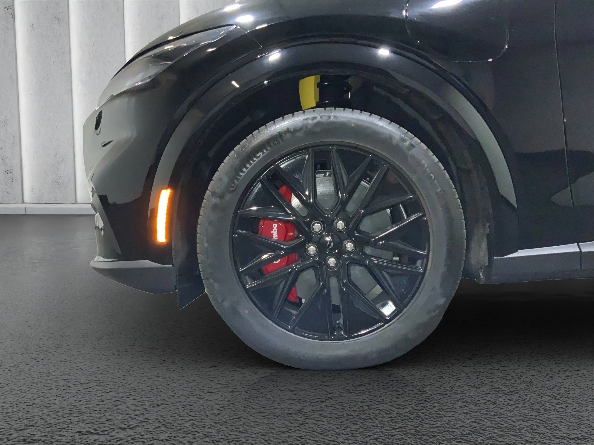 Ford-Mustang Mach-E-image-8