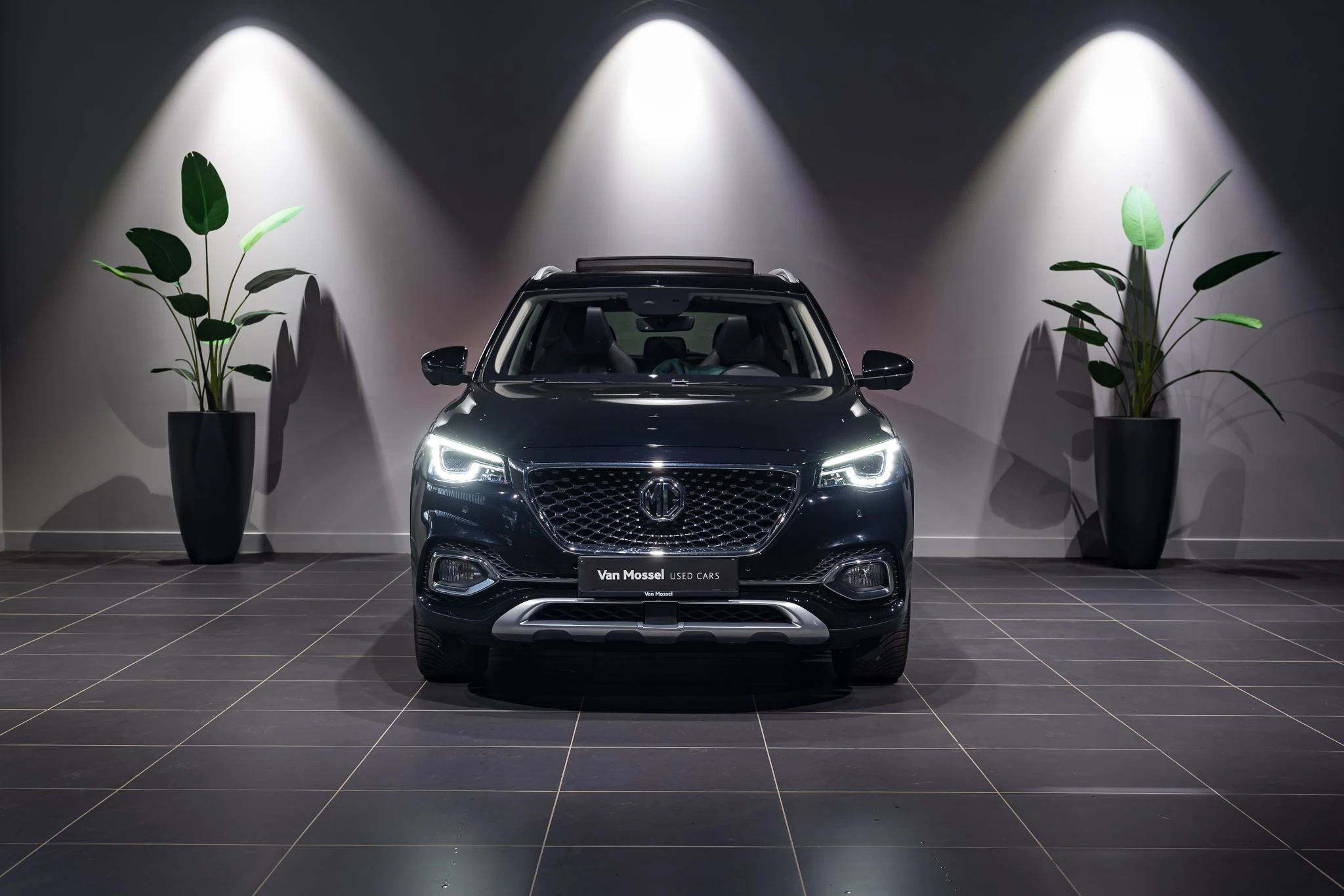 MG-EHS-image-1
