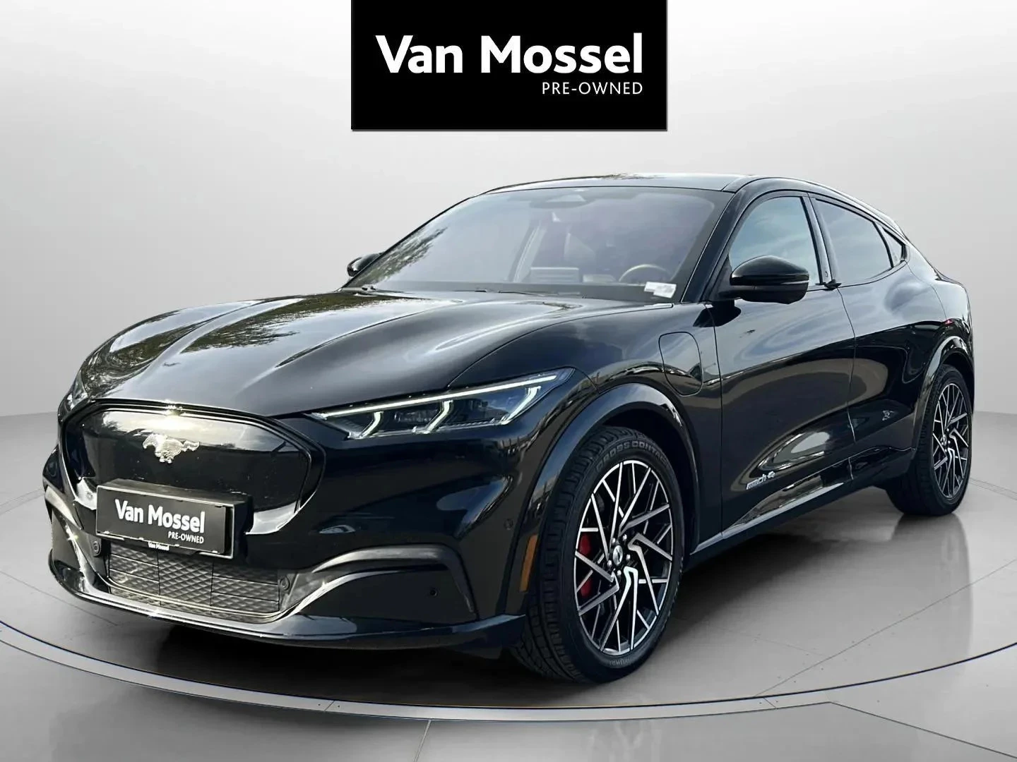 Ford-Mustang Mach-E-image-0