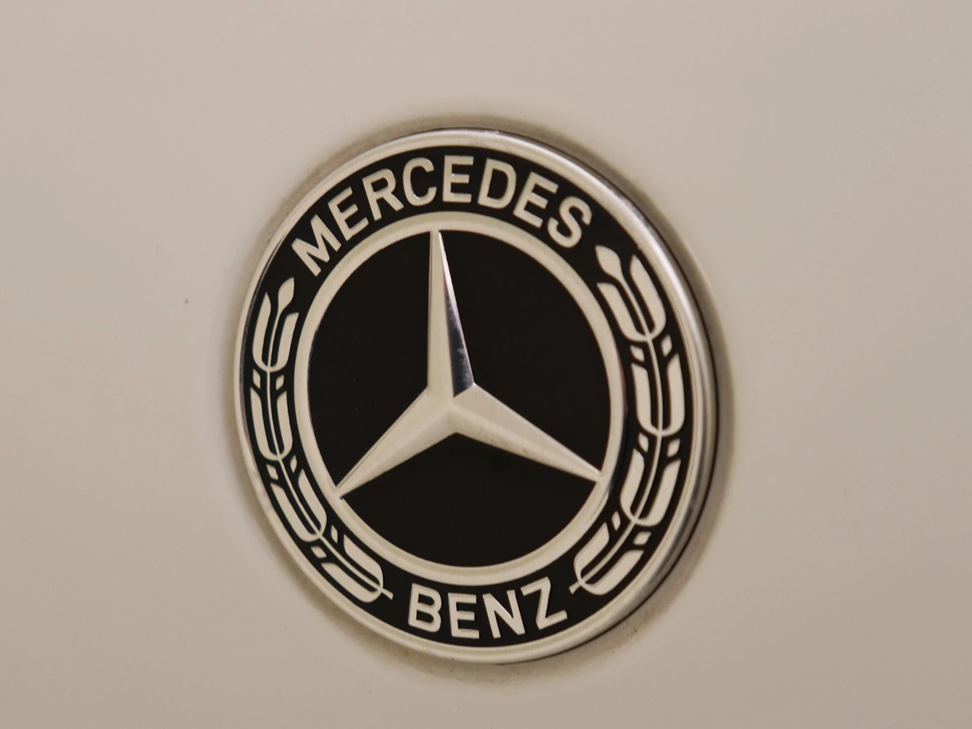Mercedes-Benz-EQC-image-30