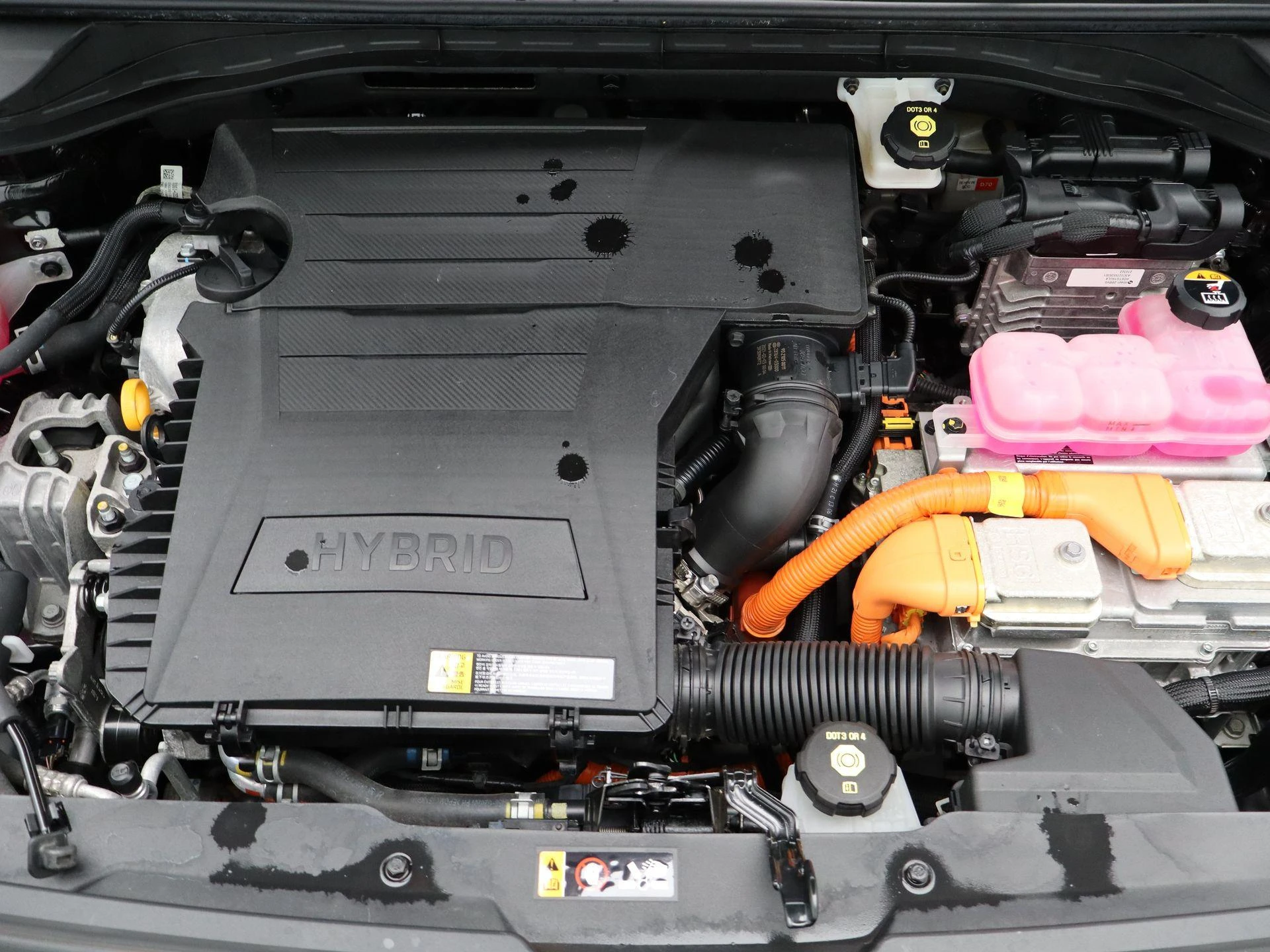 Kia-Niro-image-29