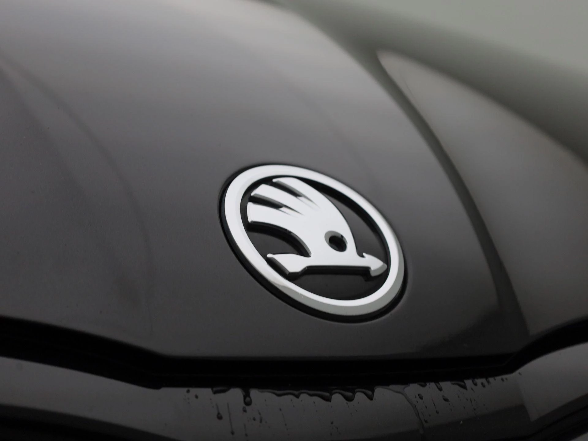 Škoda-Octavia-image-42