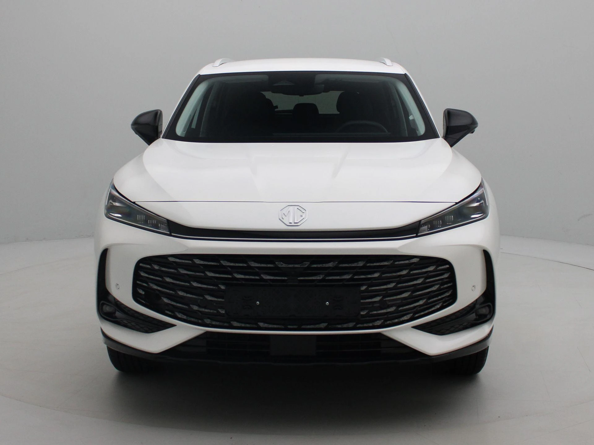 MG-HS-image-3