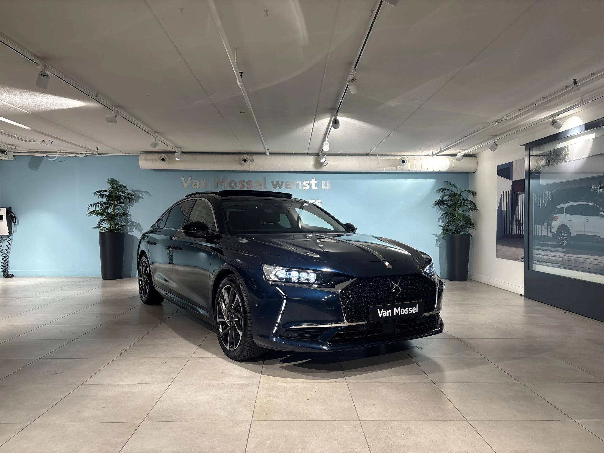 DS-DS 9-image-7