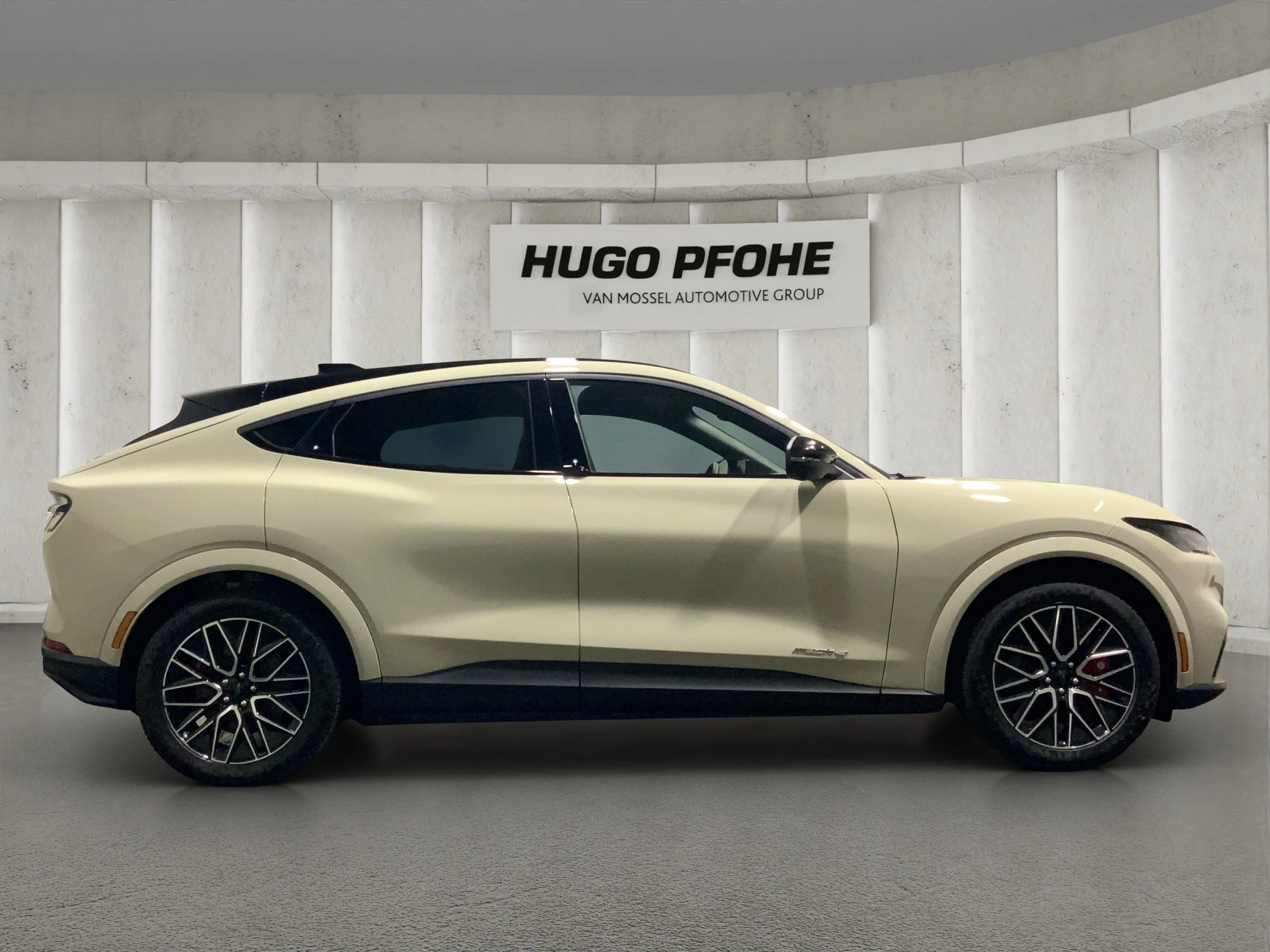 Ford-Mustang Mach-E-image-5