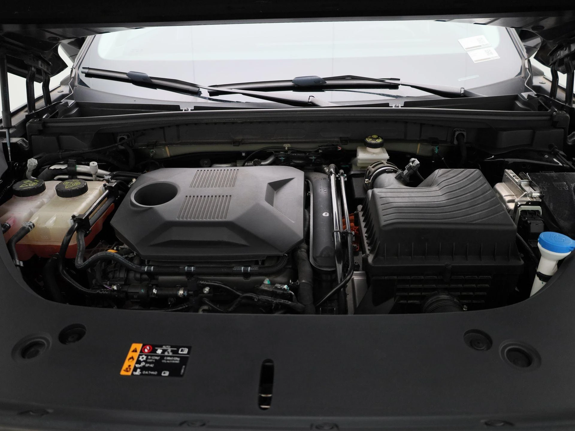 MG-HS-image-33