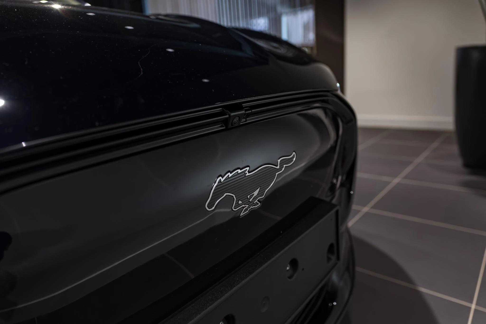 Ford-Mustang Mach-E-image-9