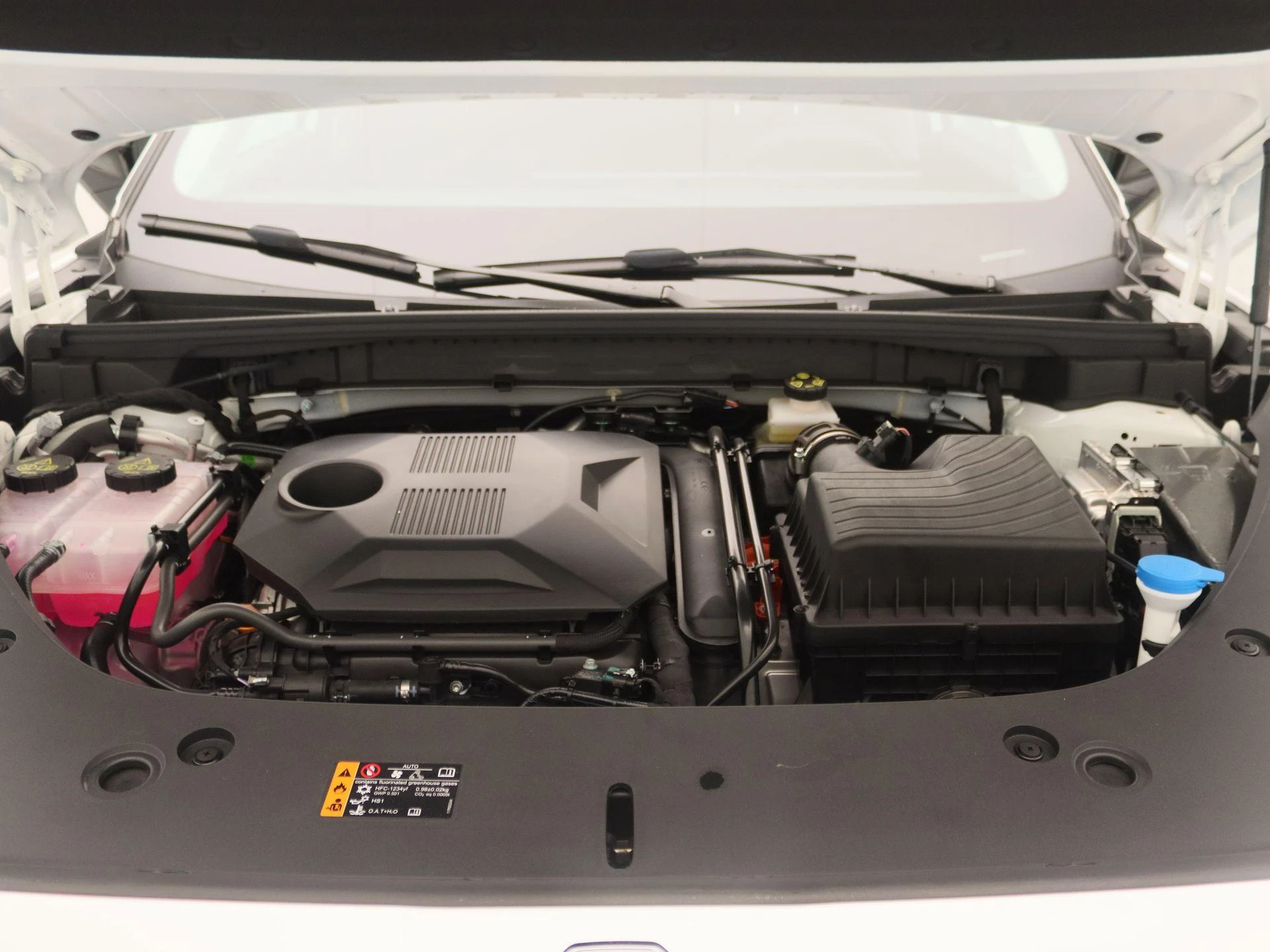 MG-HS-image-25