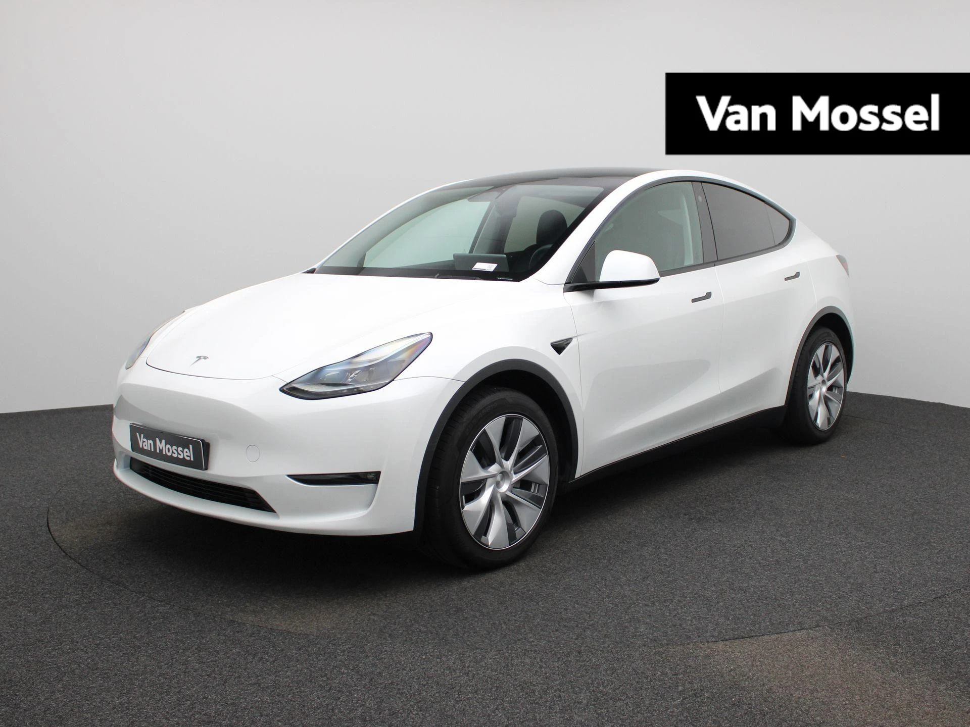 Tesla-Model Y-image-0