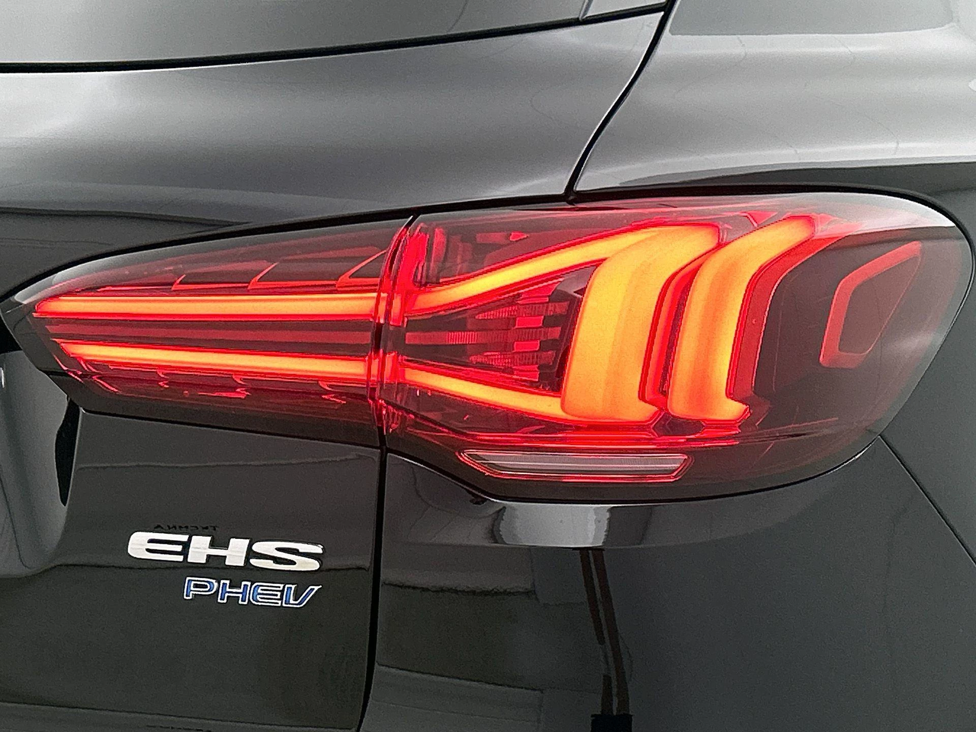 MG-EHS-image-25