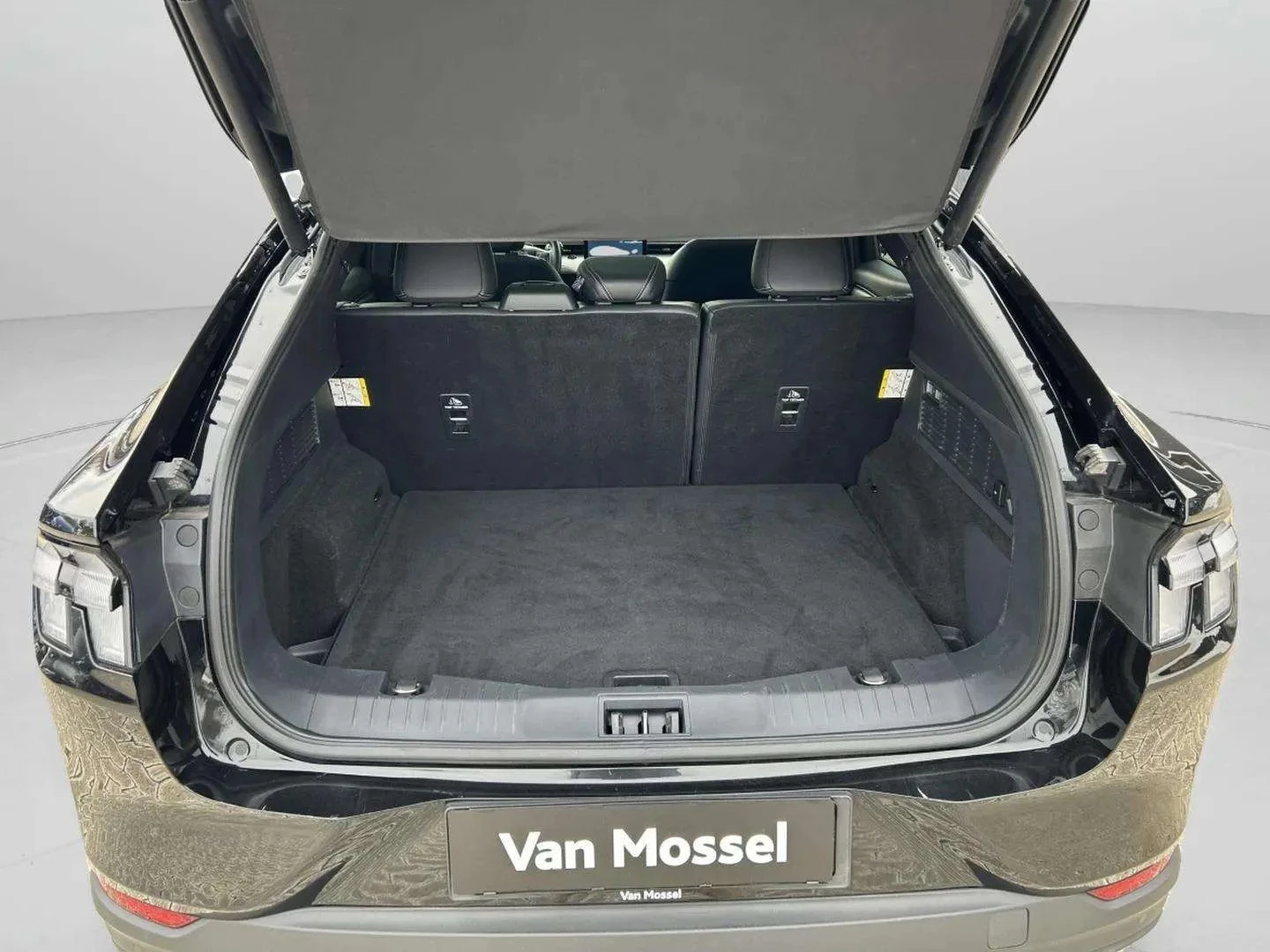 Ford-Mustang Mach-E-image-21