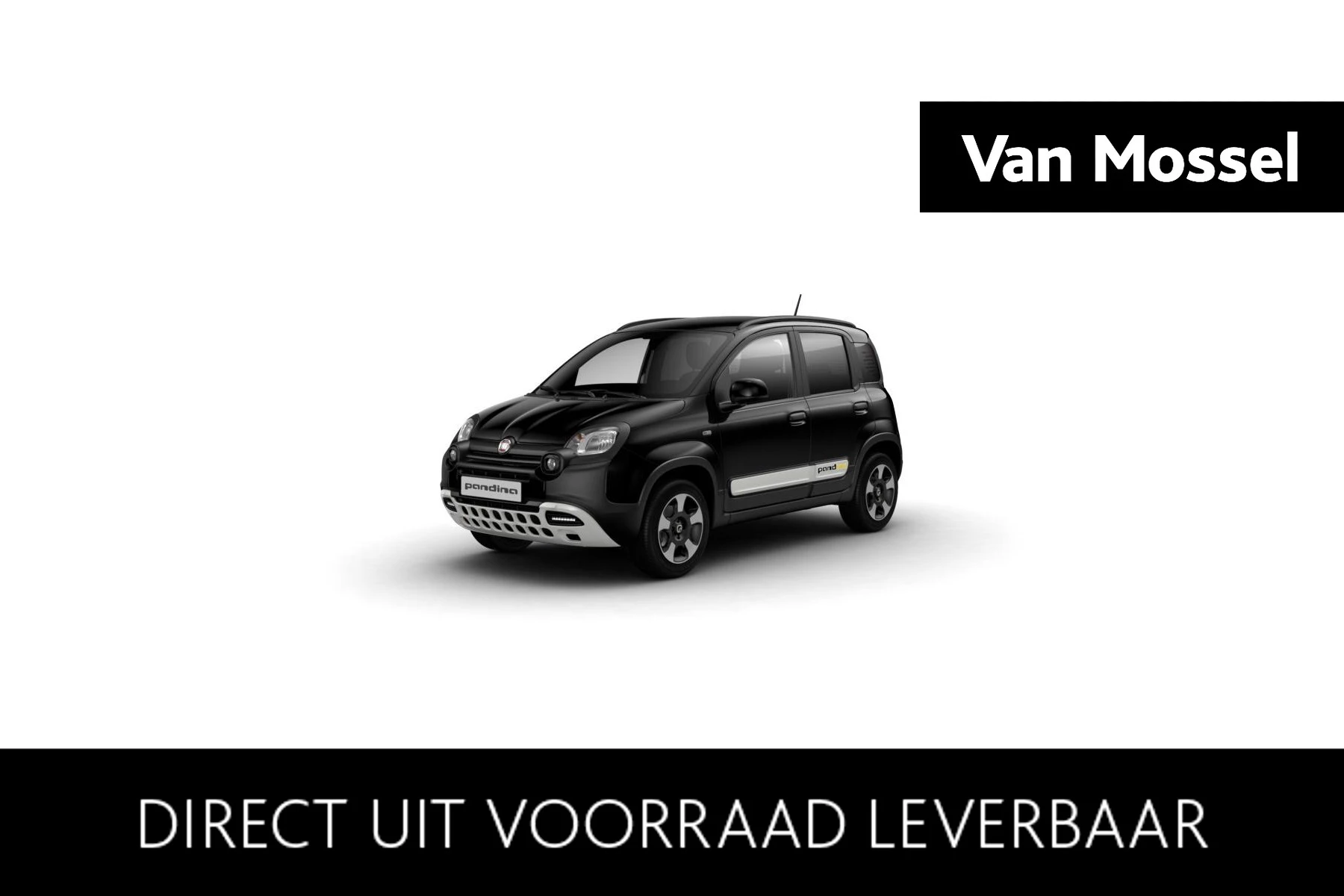 Fiat-Pandina-image-0