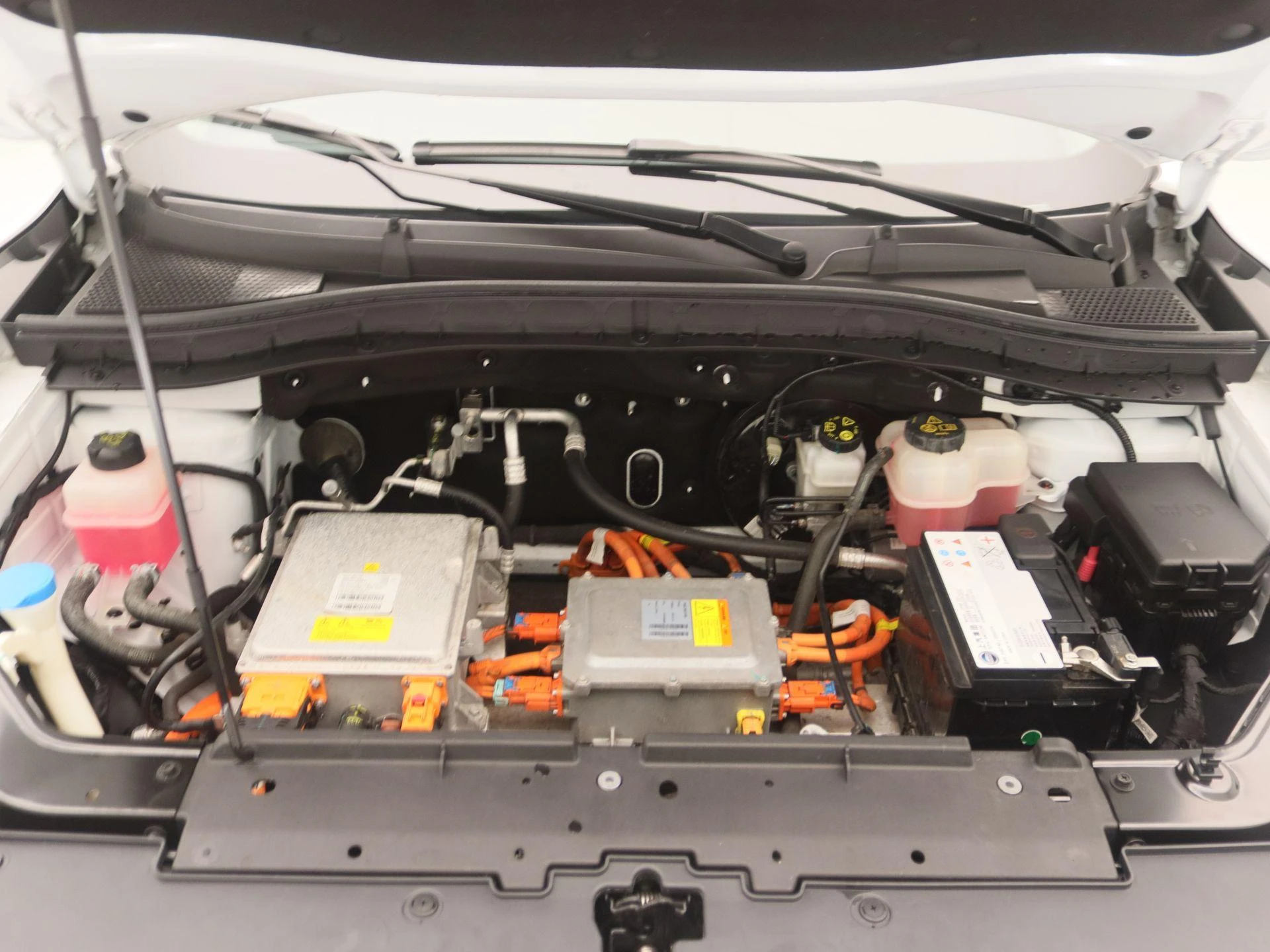 MG-ZS EV-image-25