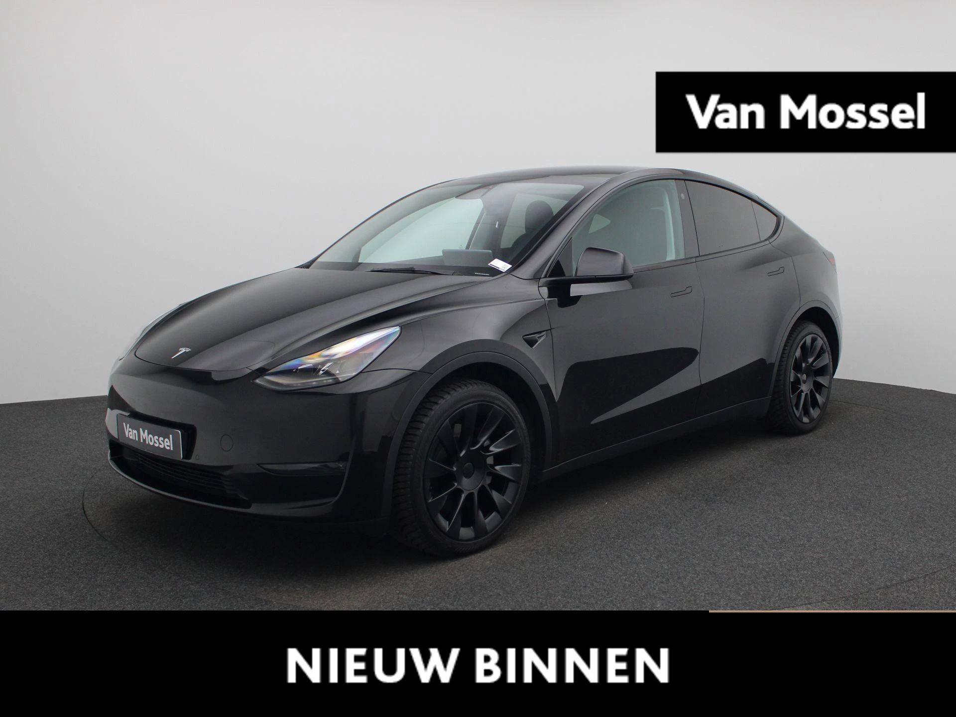 Tesla-Model Y-image-0
