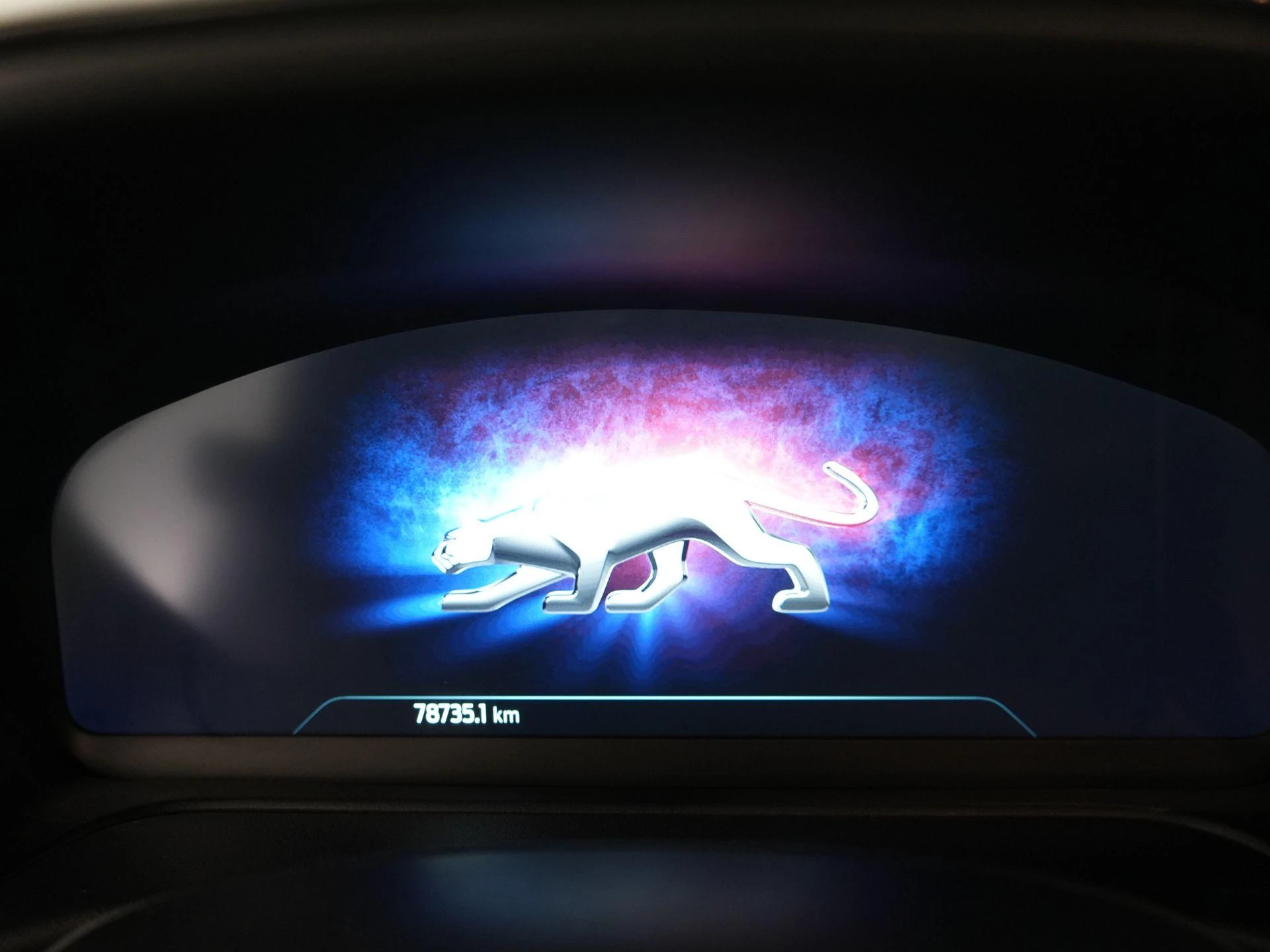 Ford Puma ST-Line - Carplay - PDC - Winterpack