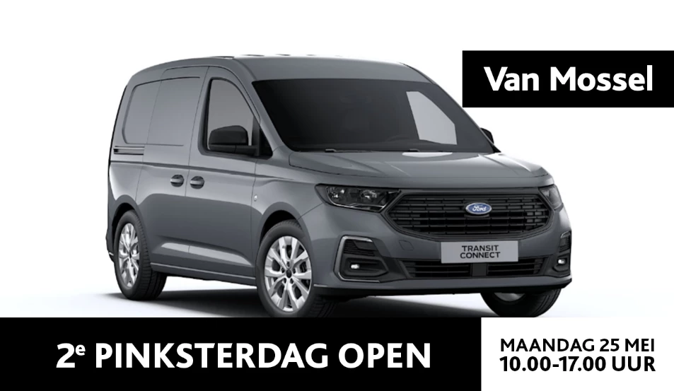 Ford-Transit Connect-image-0