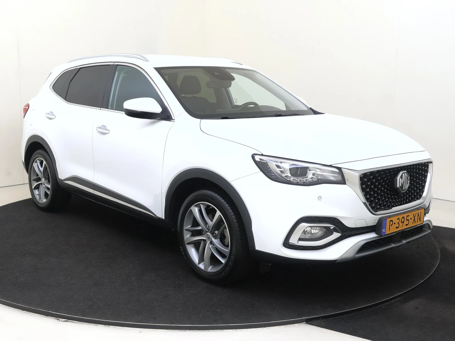 MG-EHS-image-1