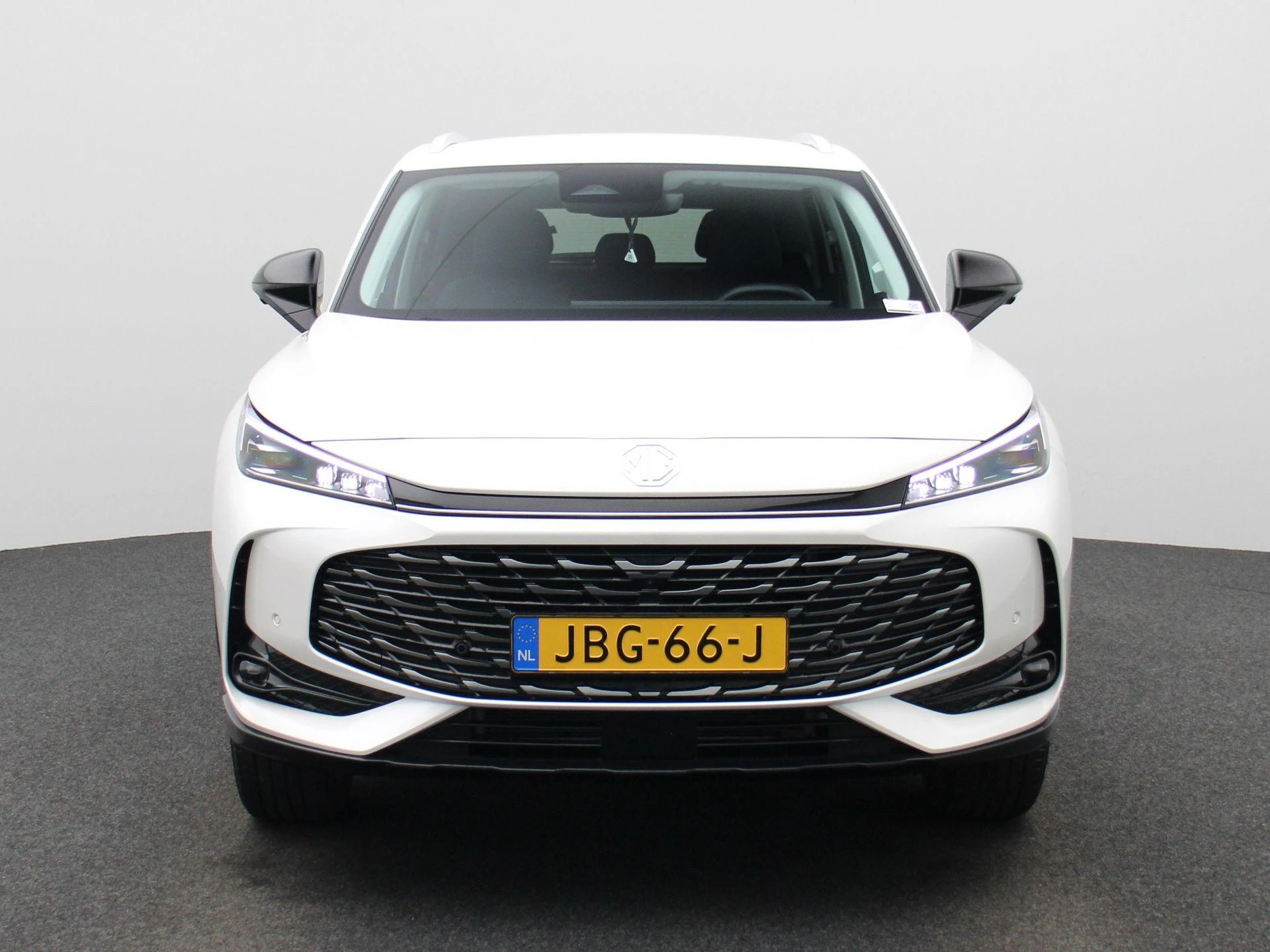 MG-HS-image-2