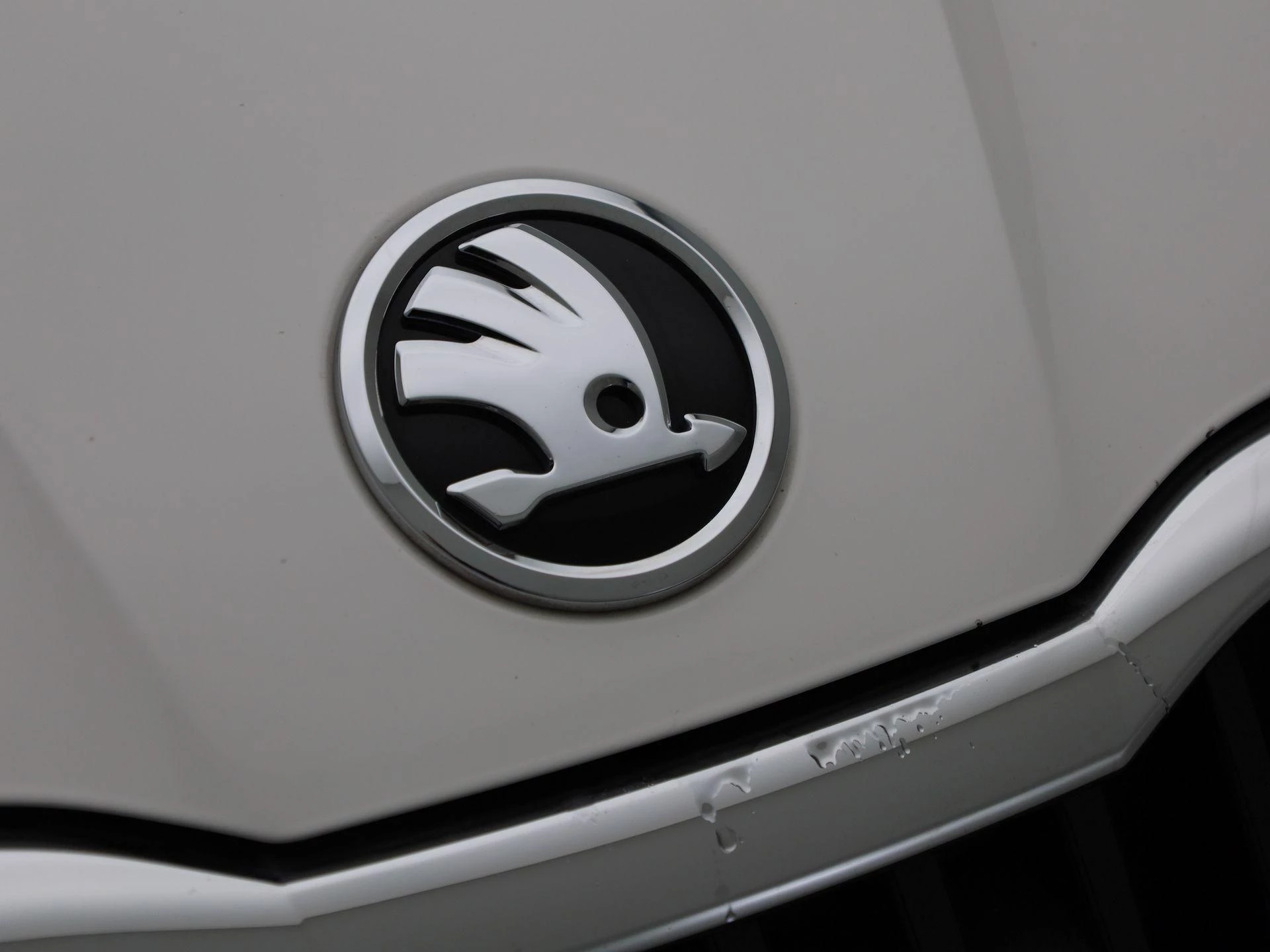 Škoda Fabia 1.0 TSI Ambition
