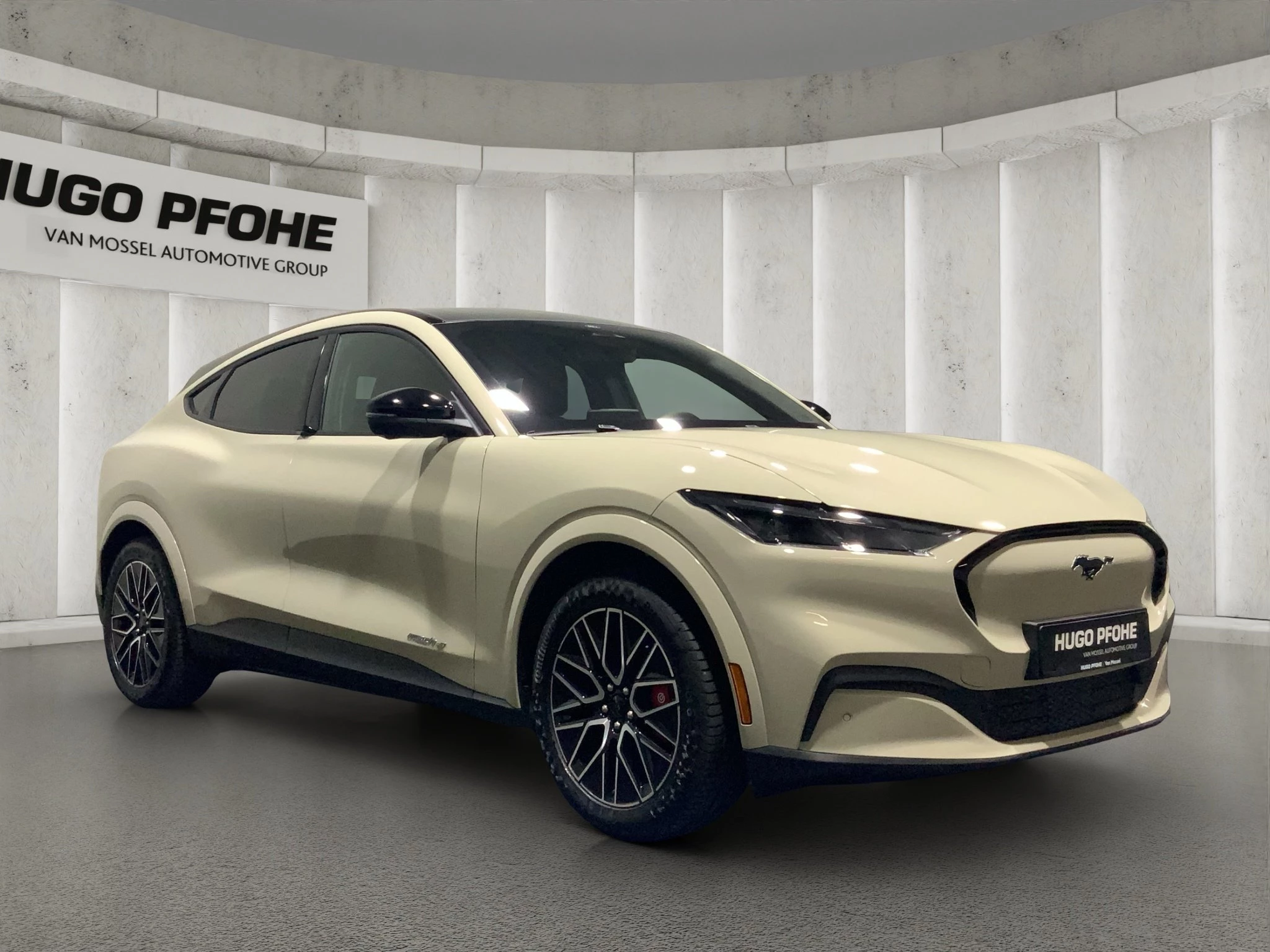 Ford-Mustang Mach-E-image-6