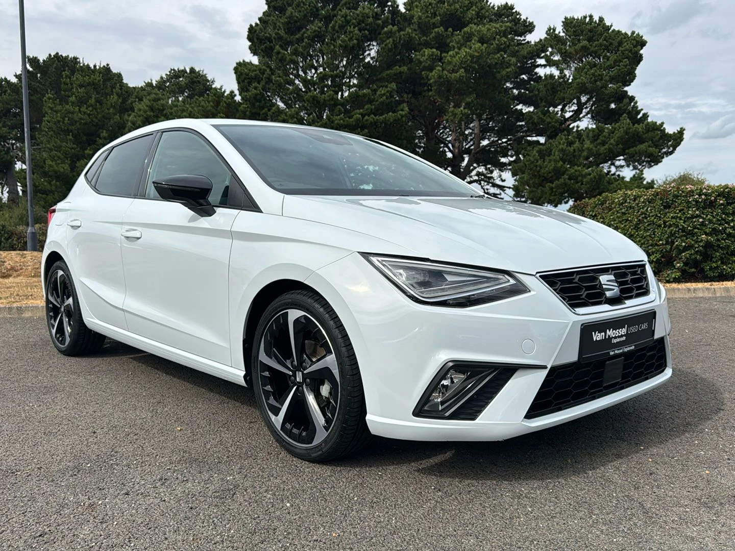 SEAT-Ibiza-image-17
