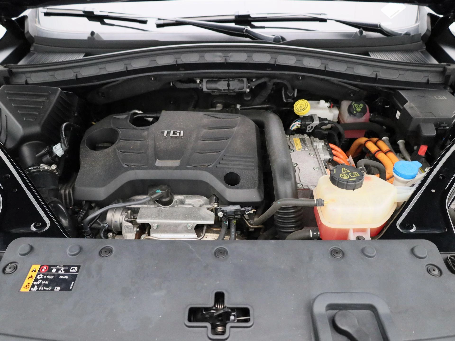 MG-EHS-image-32