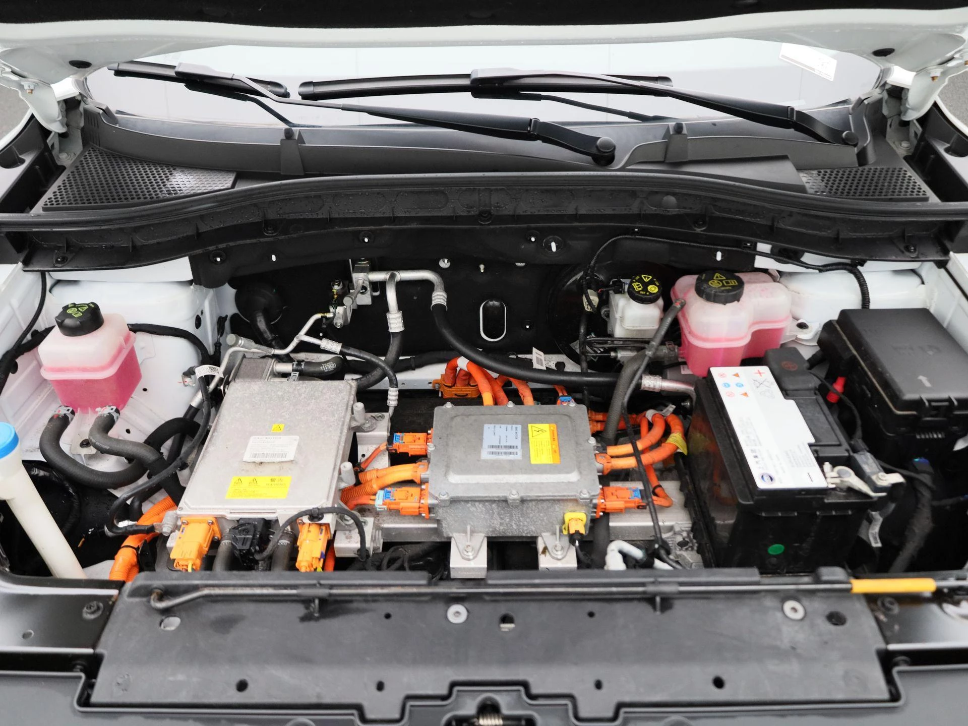 MG-ZS EV-image-32