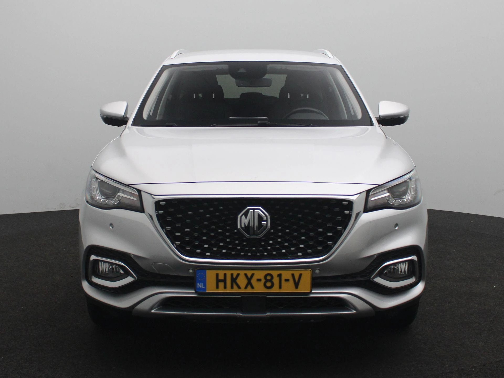 MG-EHS-image-3