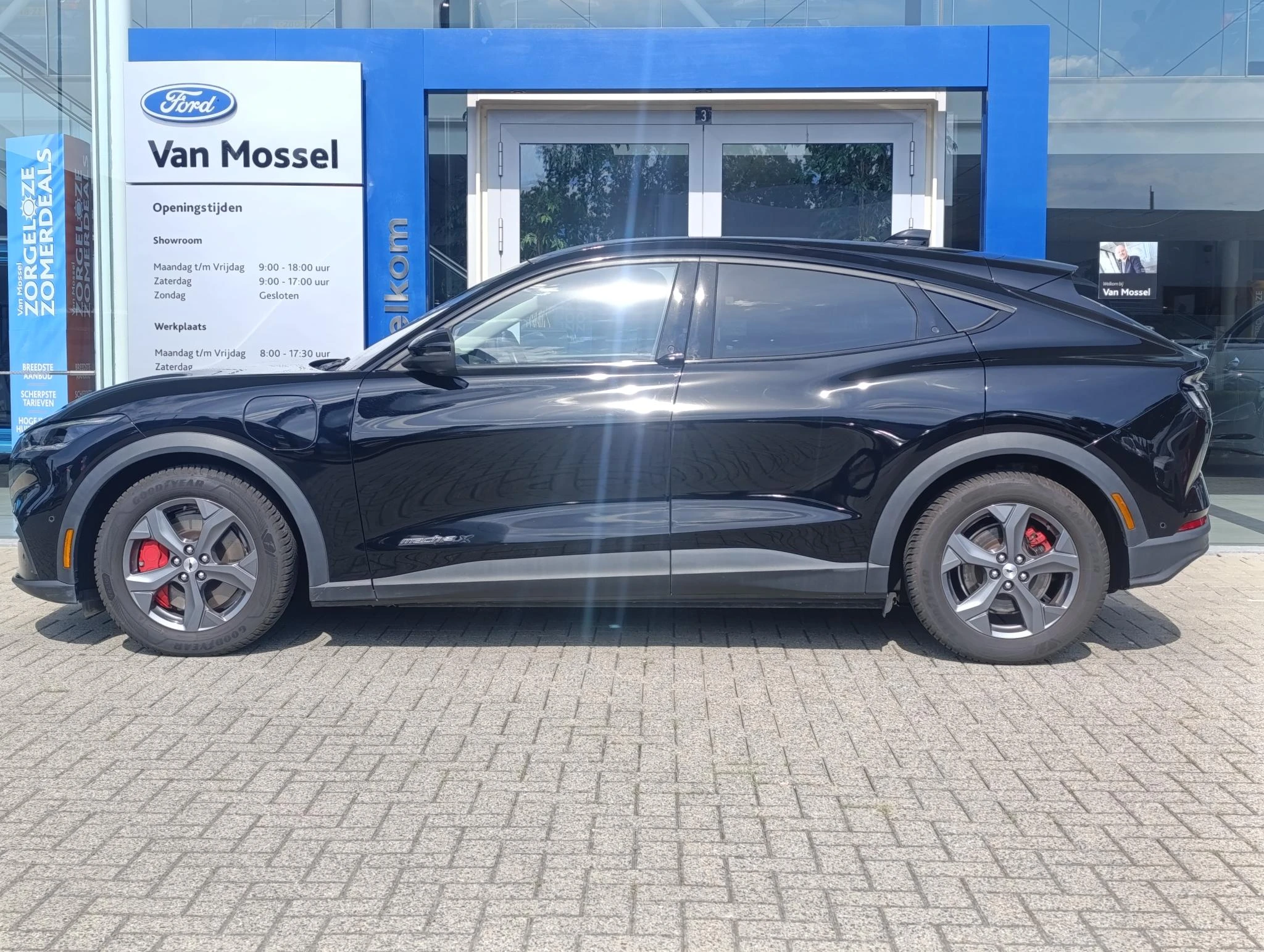 Ford-Mustang Mach-E-image-5