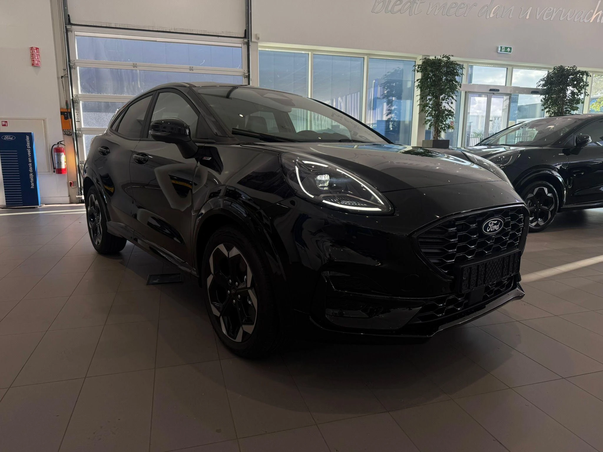 Ford-Puma-image-6