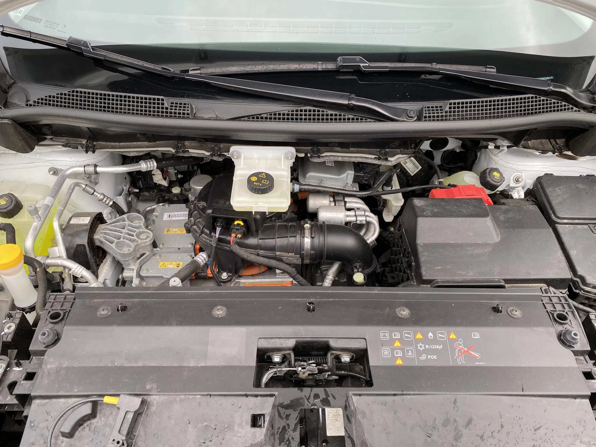 Renault-Kangoo-image-19