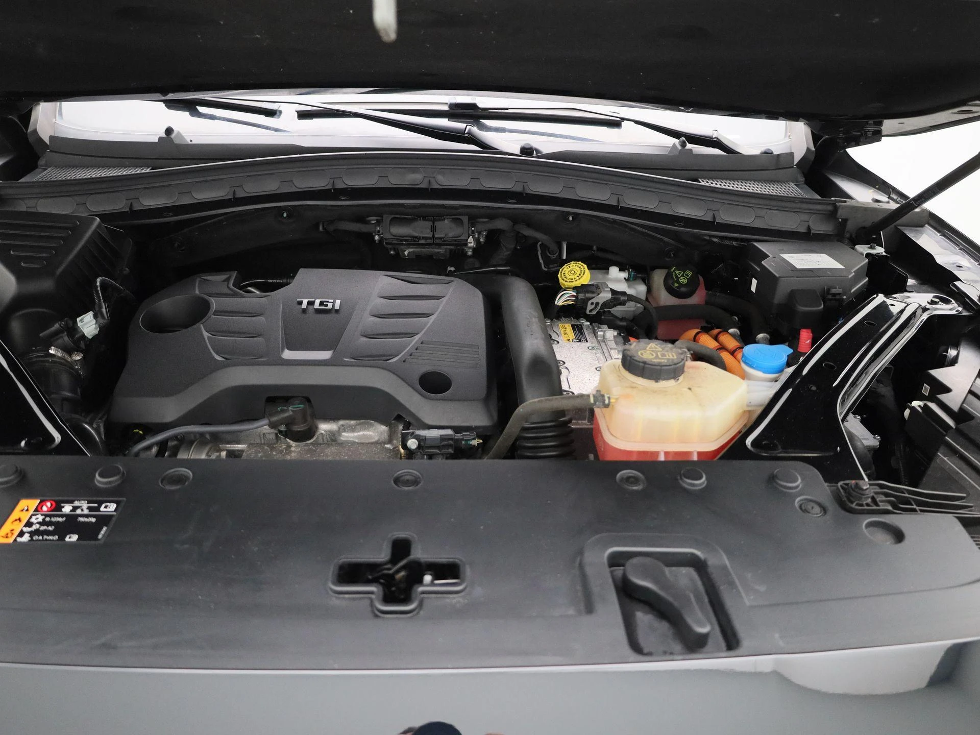 MG-EHS-image-33